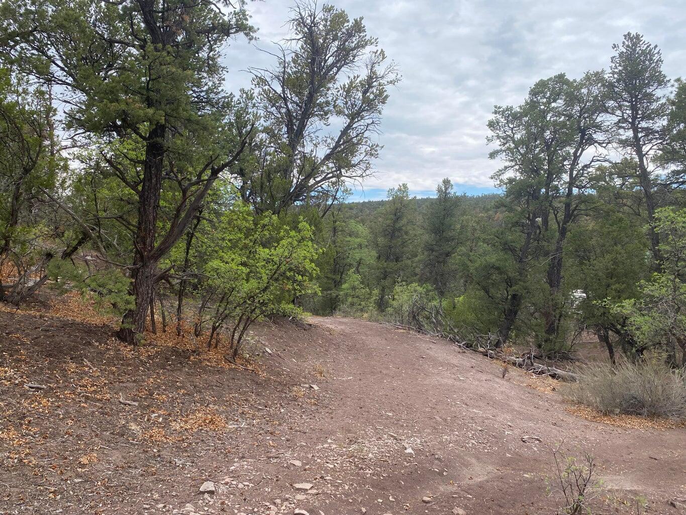 Lot 23 Sunflower Drive, Ramah, New Mexico image 23