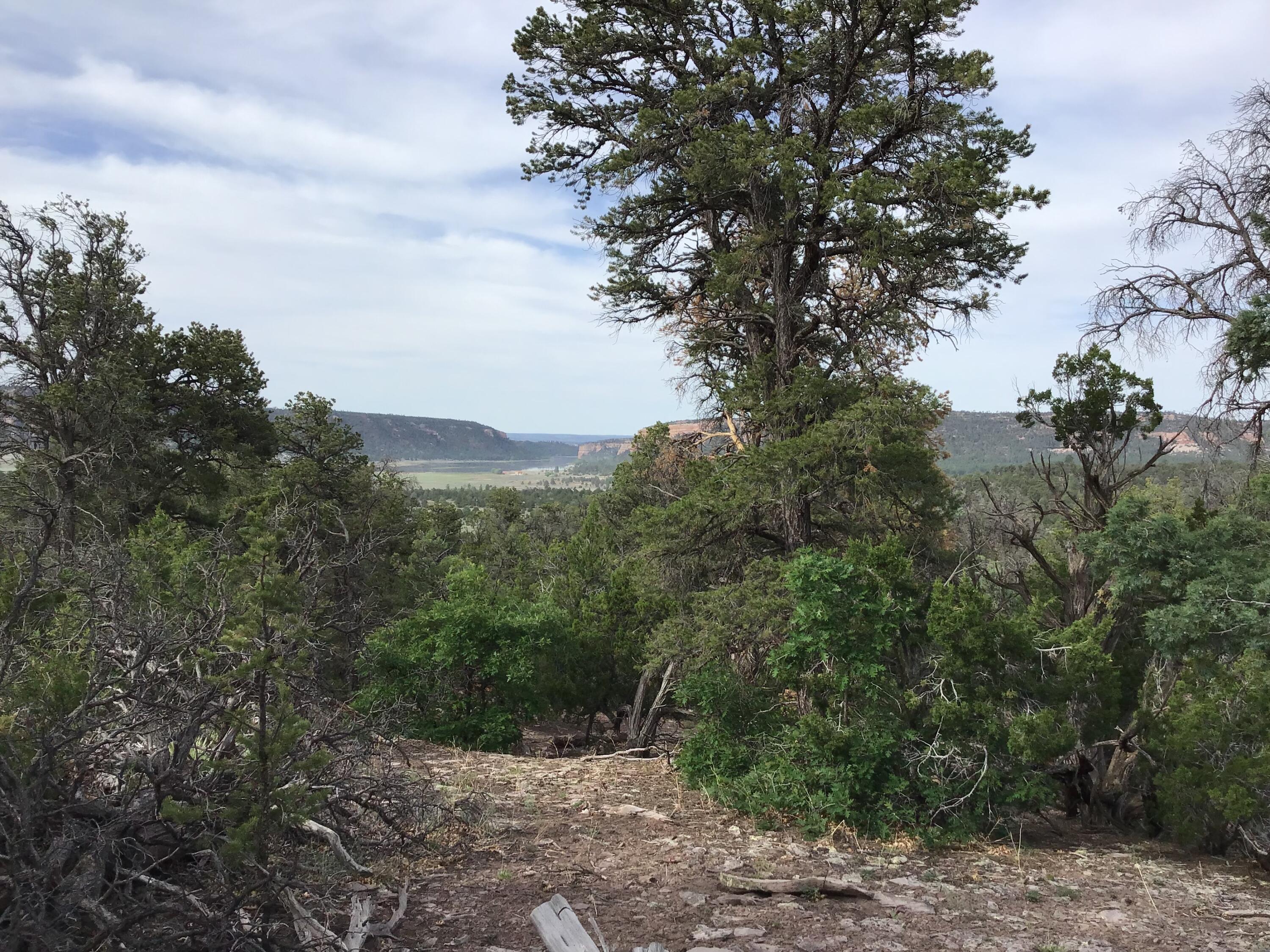 Lot 23 Sunflower Drive, Ramah, New Mexico image 3