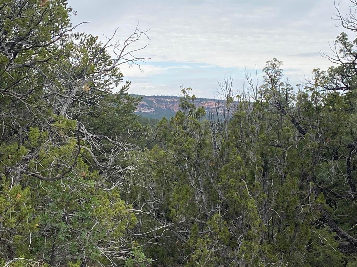 Lot 23 Sunflower Drive, Ramah, New Mexico image 43