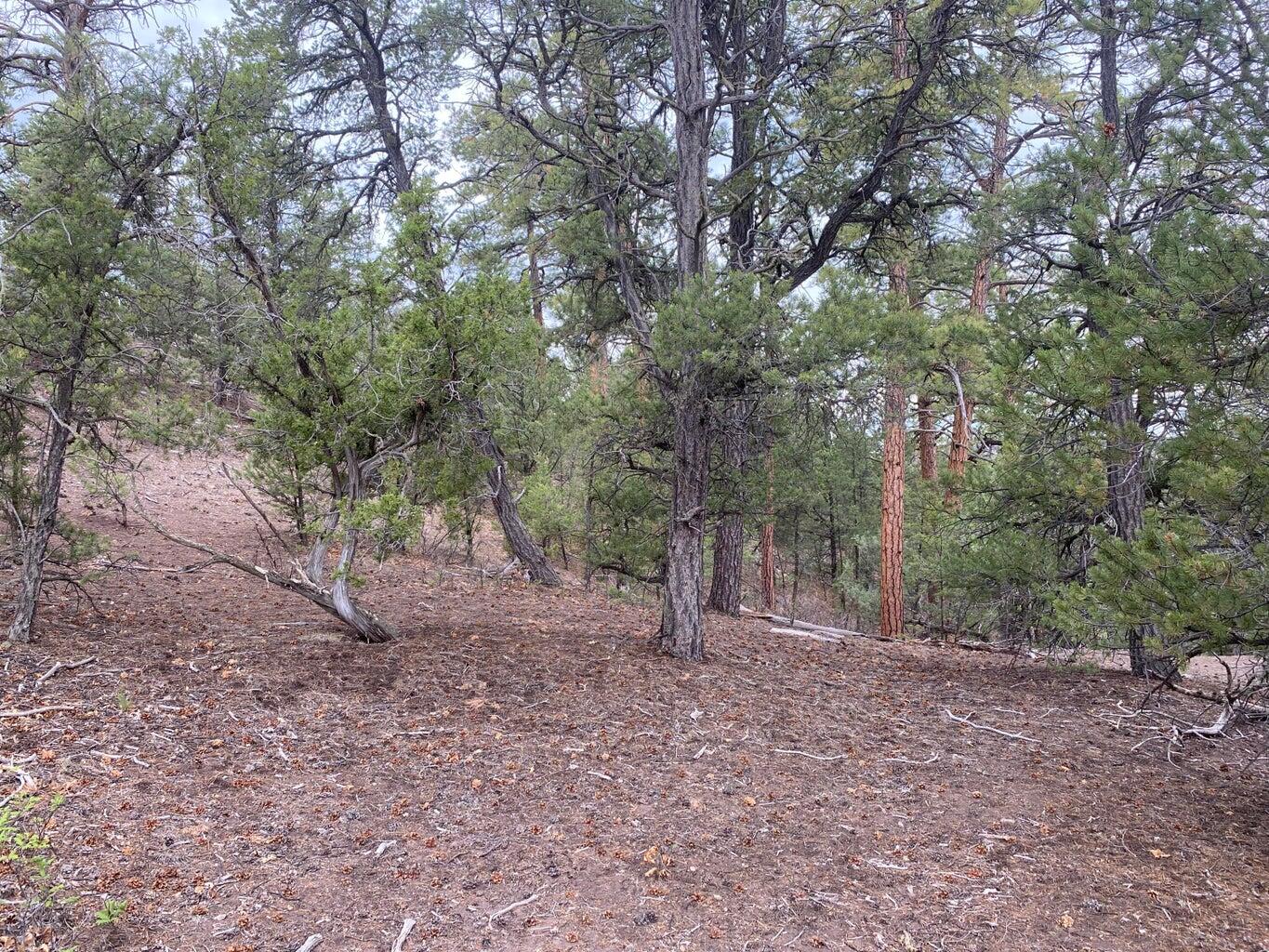 Lot 23 Sunflower Drive, Ramah, New Mexico image 16