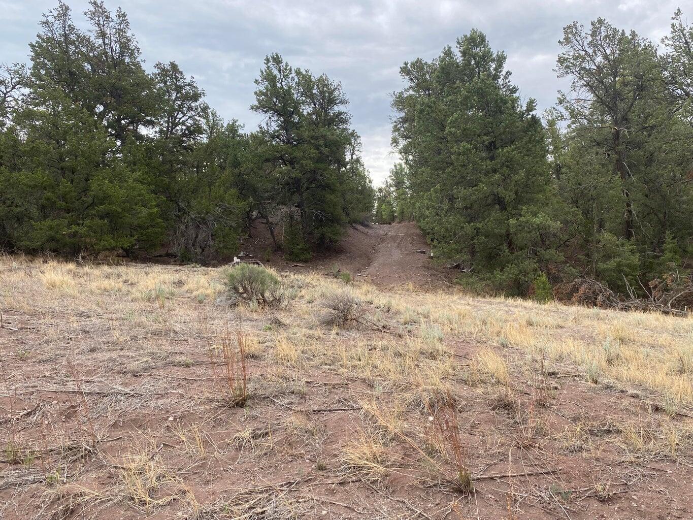 Lot 23 Sunflower Drive, Ramah, New Mexico image 11