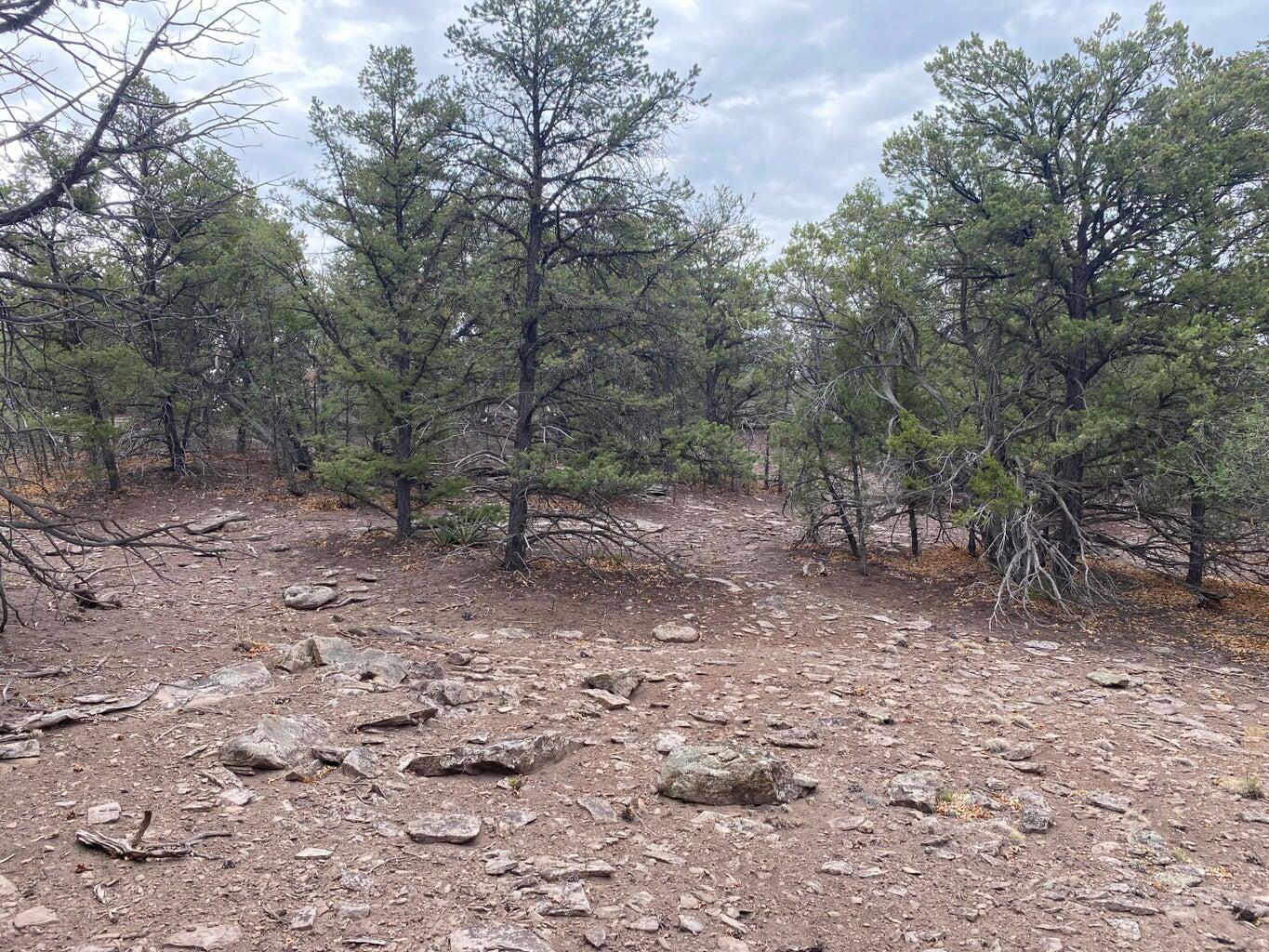 Lot 23 Sunflower Drive, Ramah, New Mexico image 47