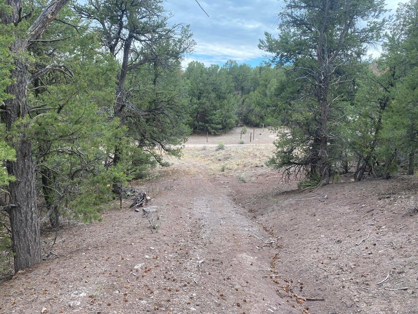 Lot 23 Sunflower Drive, Ramah, New Mexico image 15