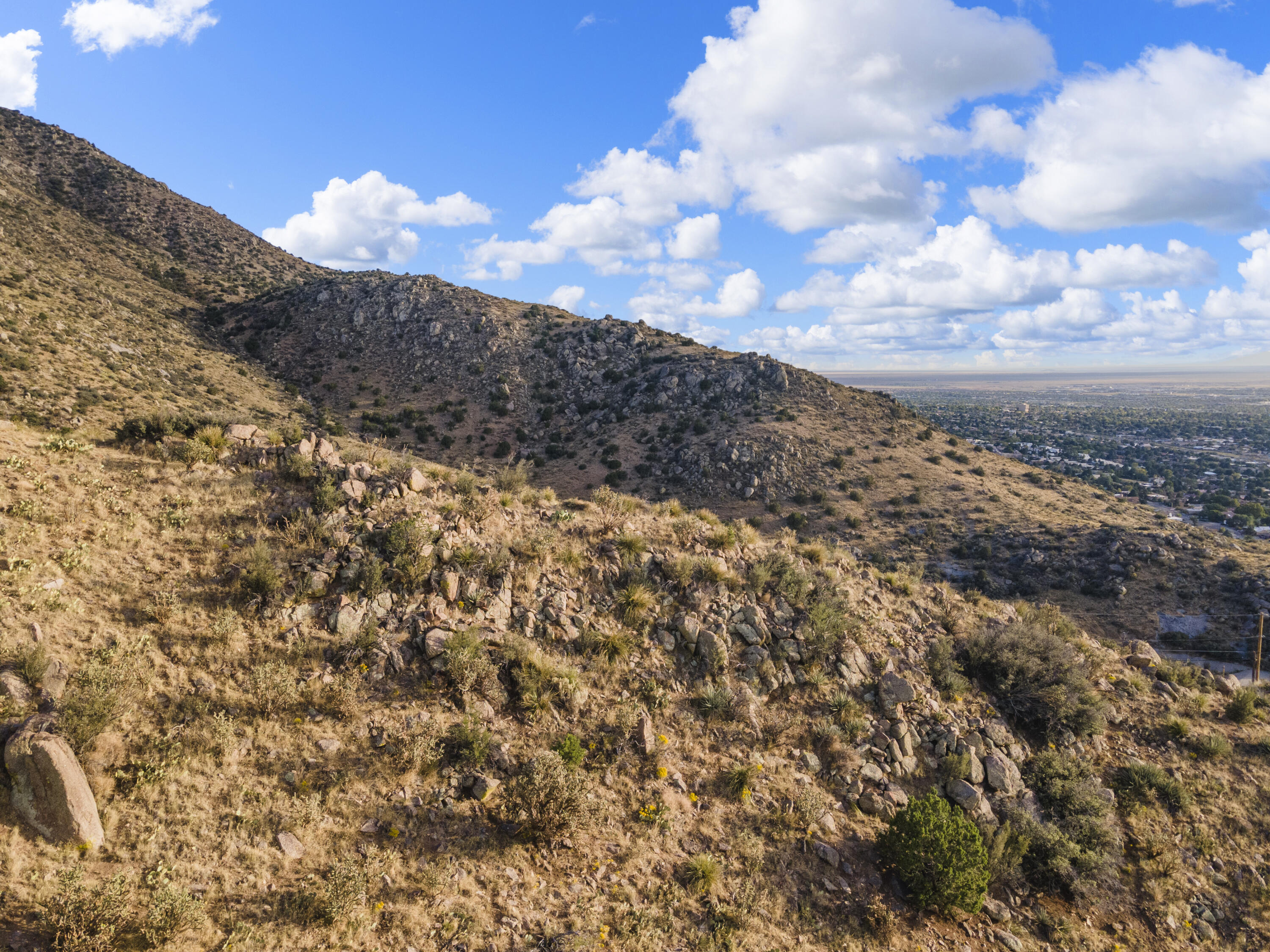 4428 Skyline Court, Albuquerque, New Mexico image 20