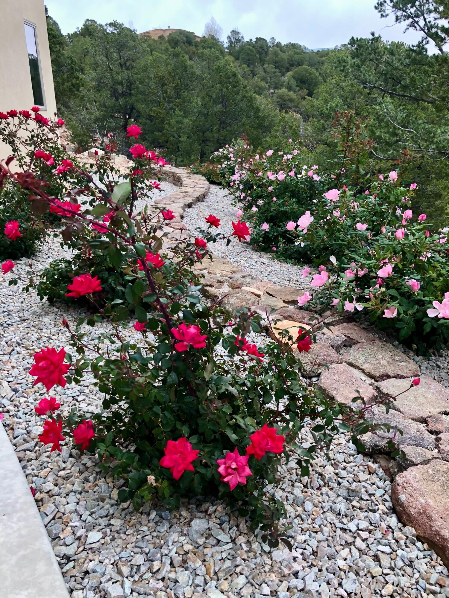 48 Woodlands Drive, Tijeras, New Mexico image 46