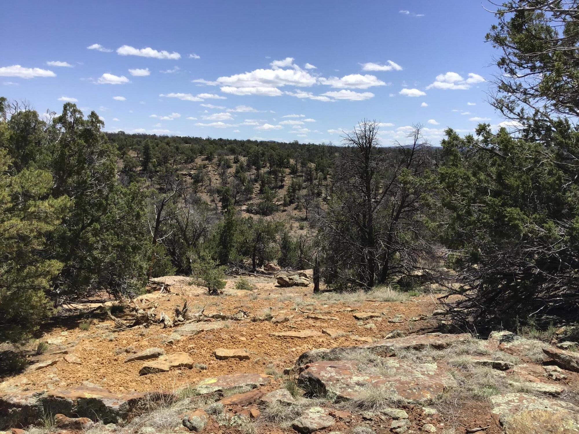 Lot 207 Meadow Drive, Ramah, New Mexico image 1