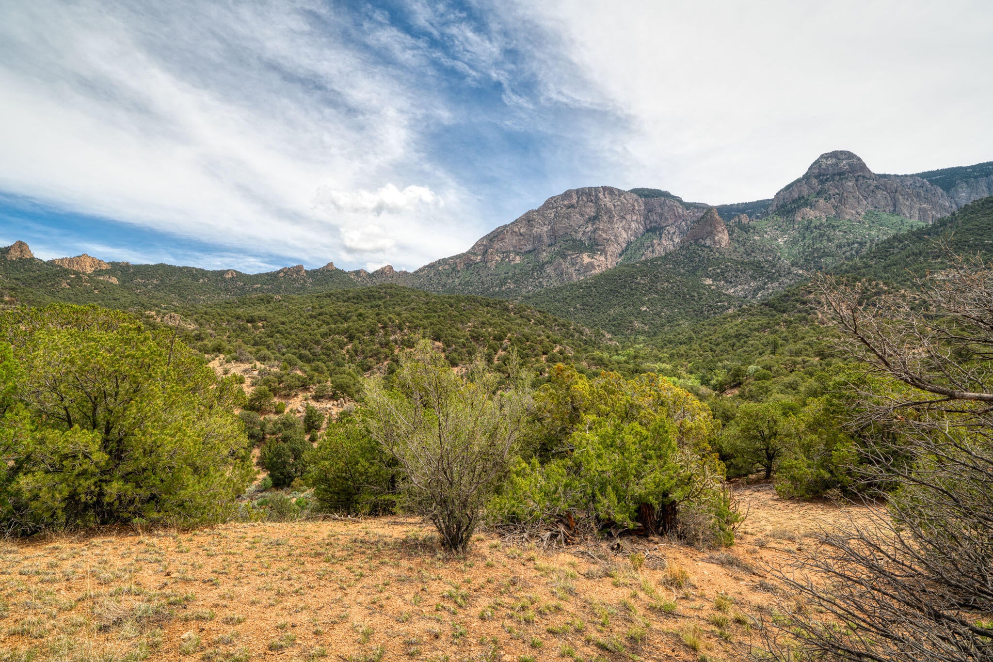 Crest View Trail NE