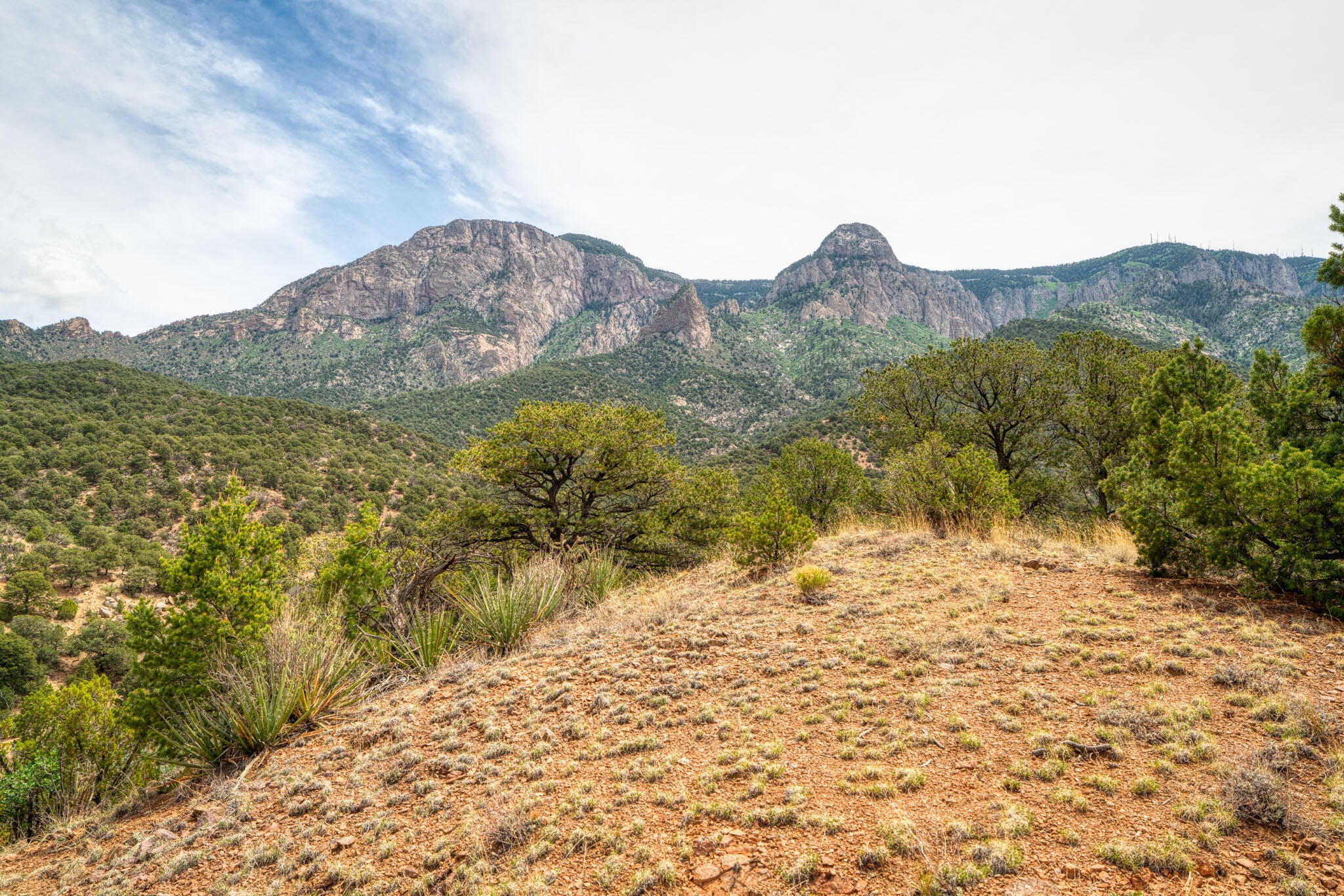 Crest View Trail NE