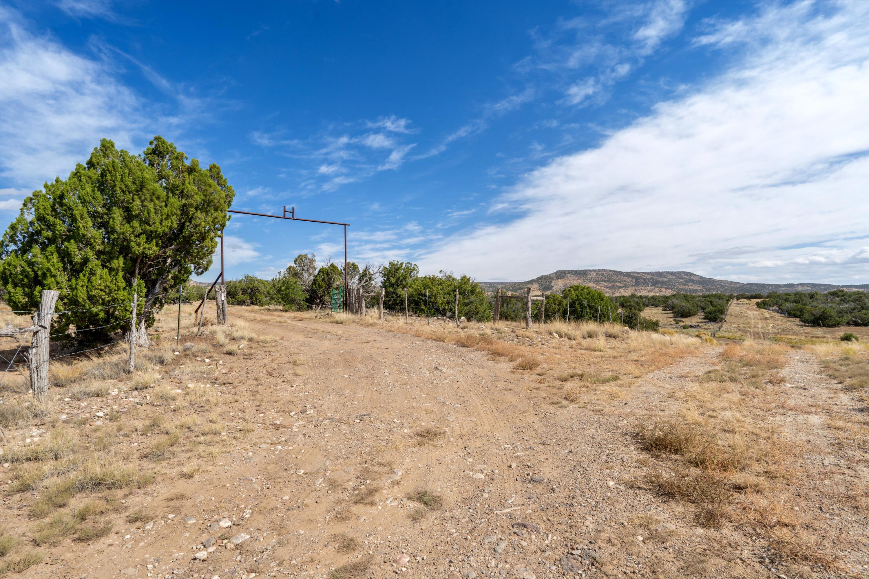 31 Henderson Way, Quemado, New Mexico image 31