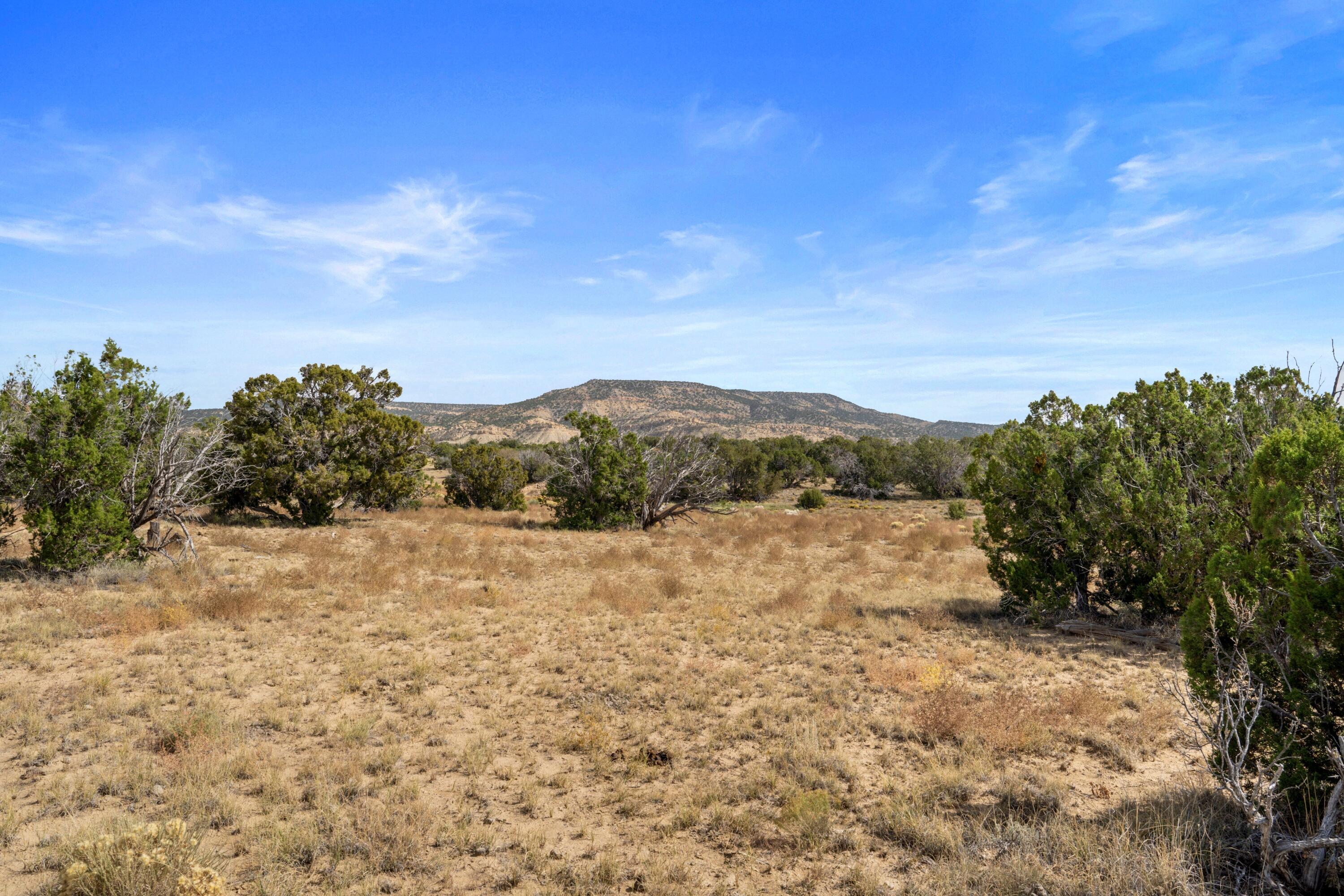 31 Henderson Way, Quemado, New Mexico image 29