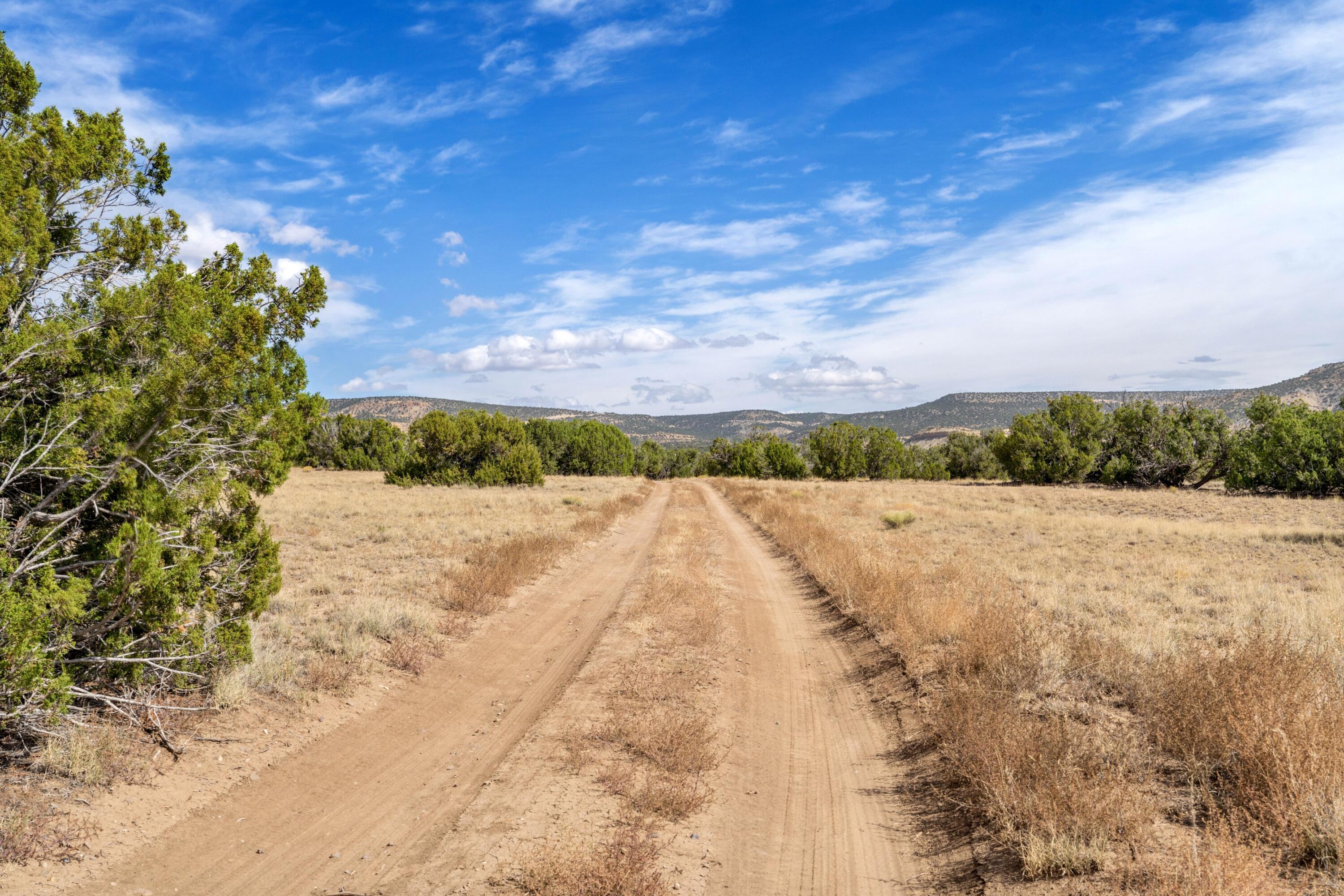 31 Henderson Way, Quemado, New Mexico image 30