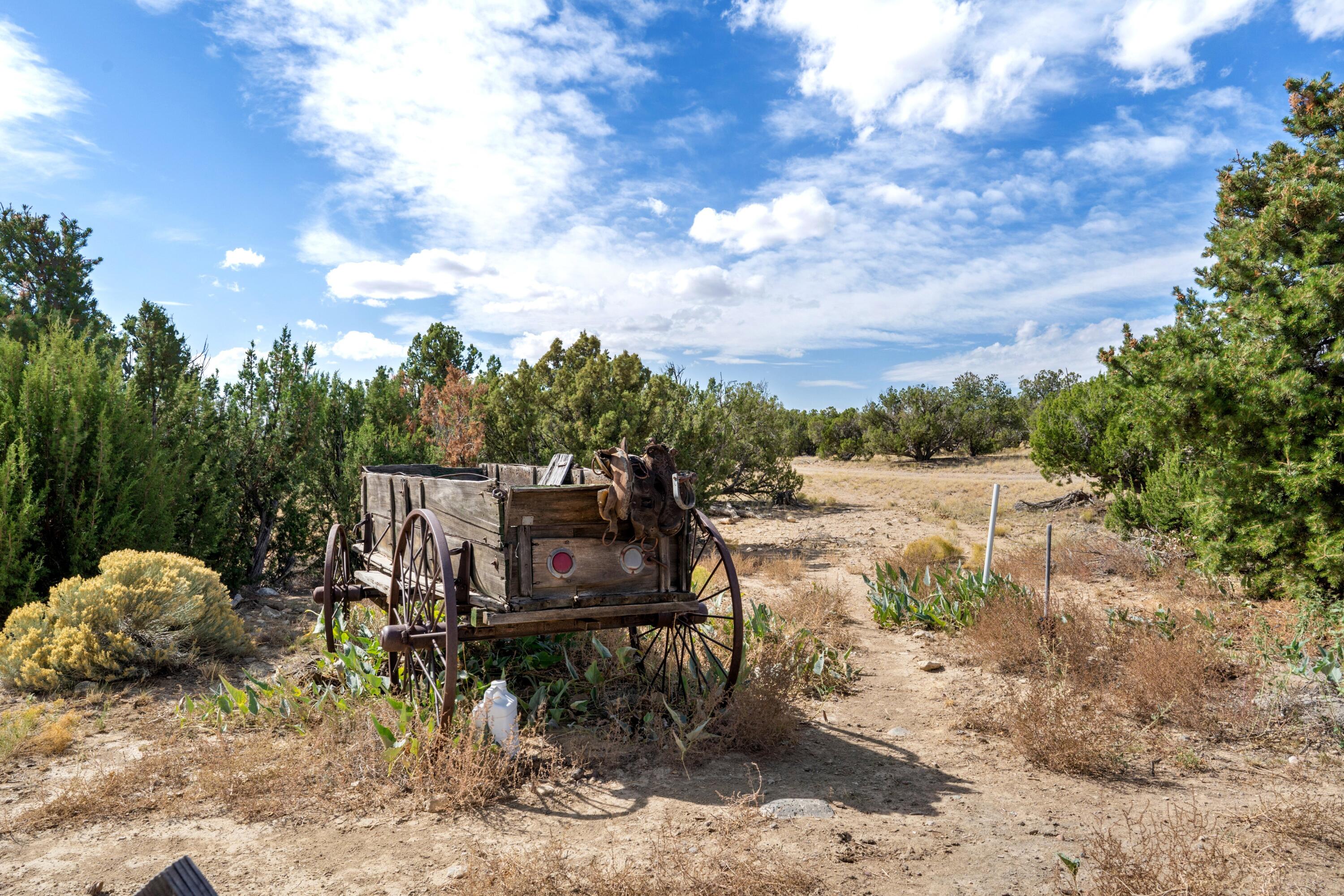 31 Henderson Way, Quemado, New Mexico image 27