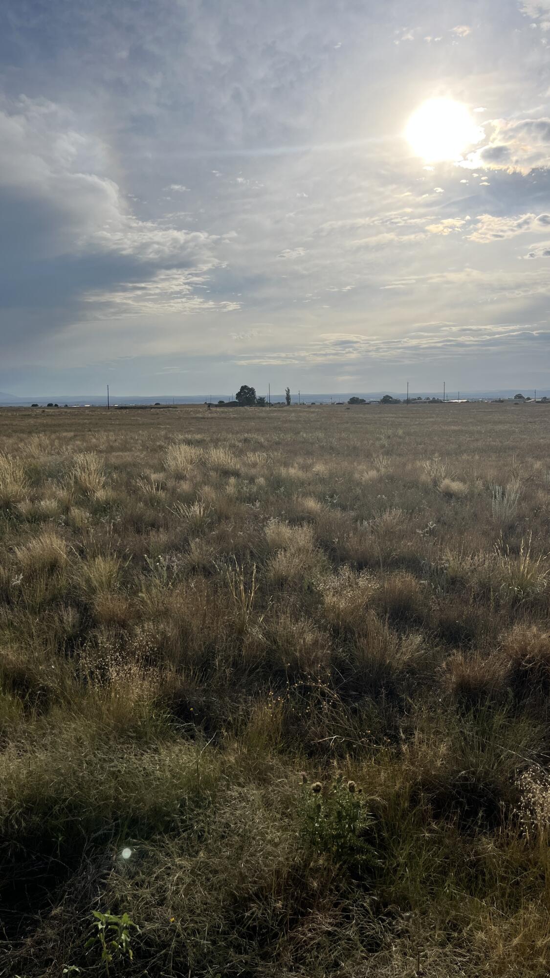 30 Yucca Ln, Moriarty, New Mexico image 5