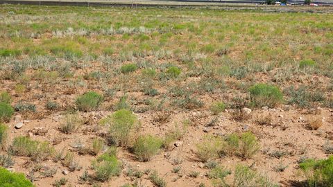 Vacant Land For Sale - VL Lot: 2 Block: 599 #25<br/> Belen, NM 87002