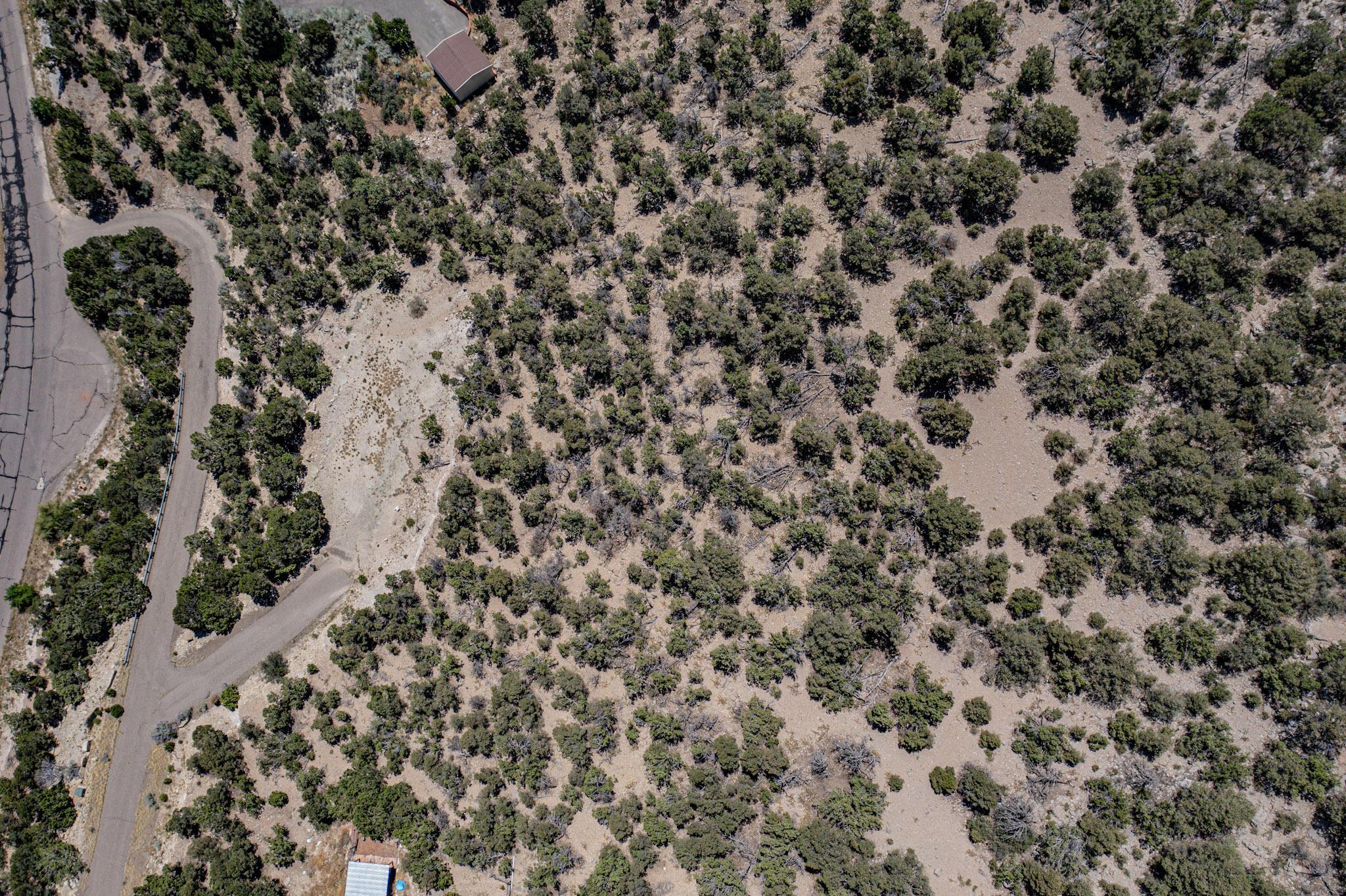 92 Sandia Mountain Ranch Drive, Tijeras, New Mexico image 1