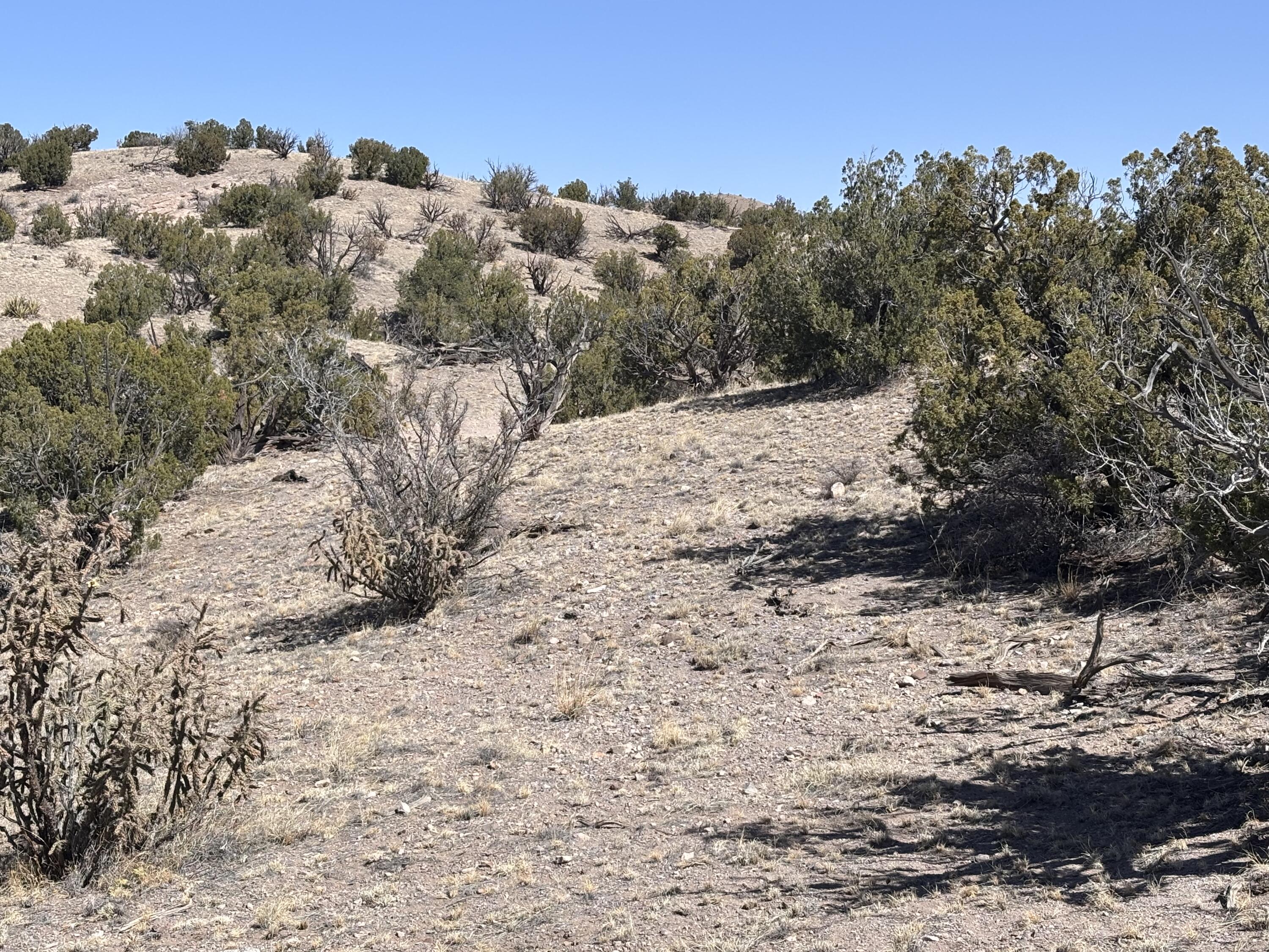 Lot 126, Magdalena, New Mexico image 8