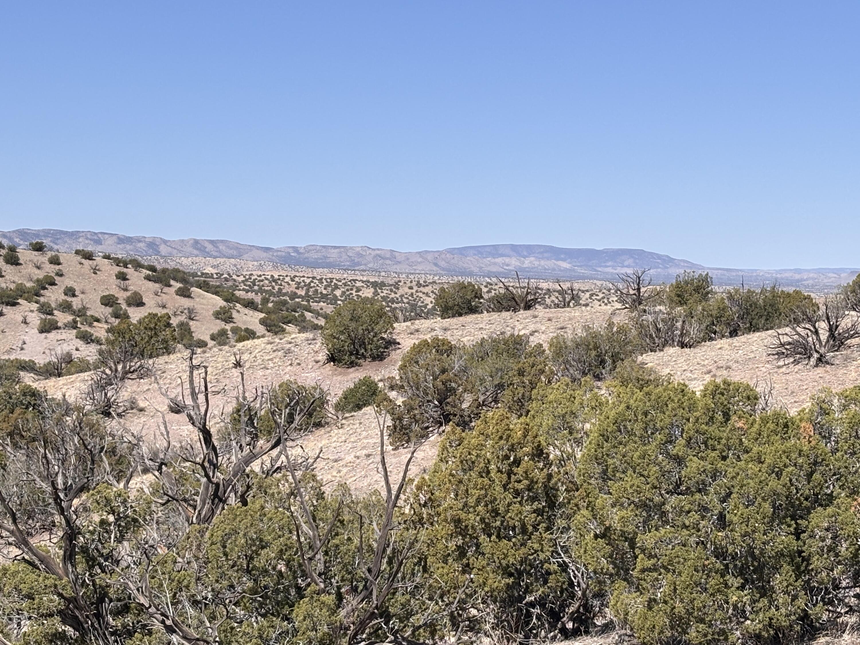 Lot 126, Magdalena, New Mexico image 2