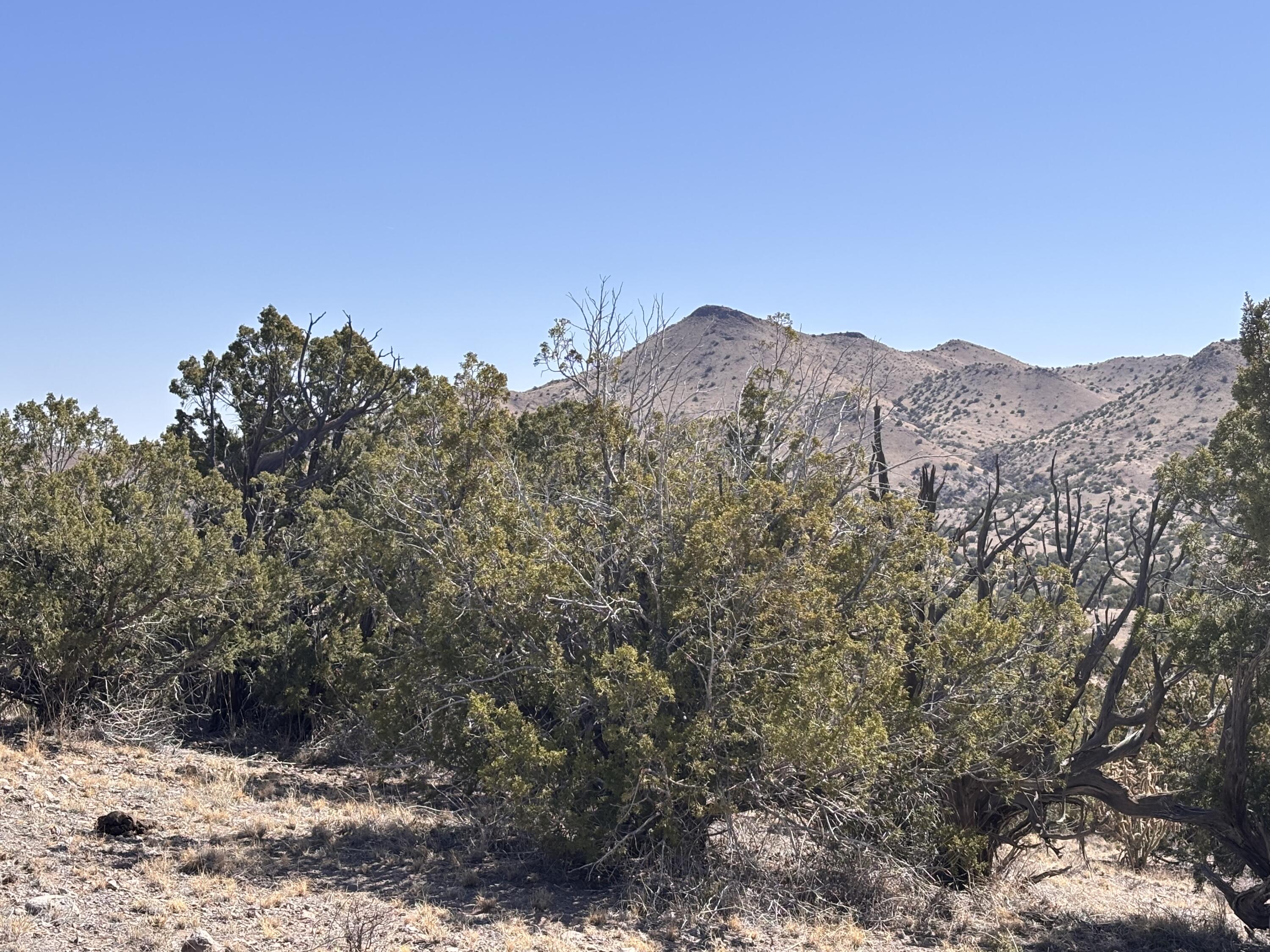 Lot 126, Magdalena, New Mexico image 1
