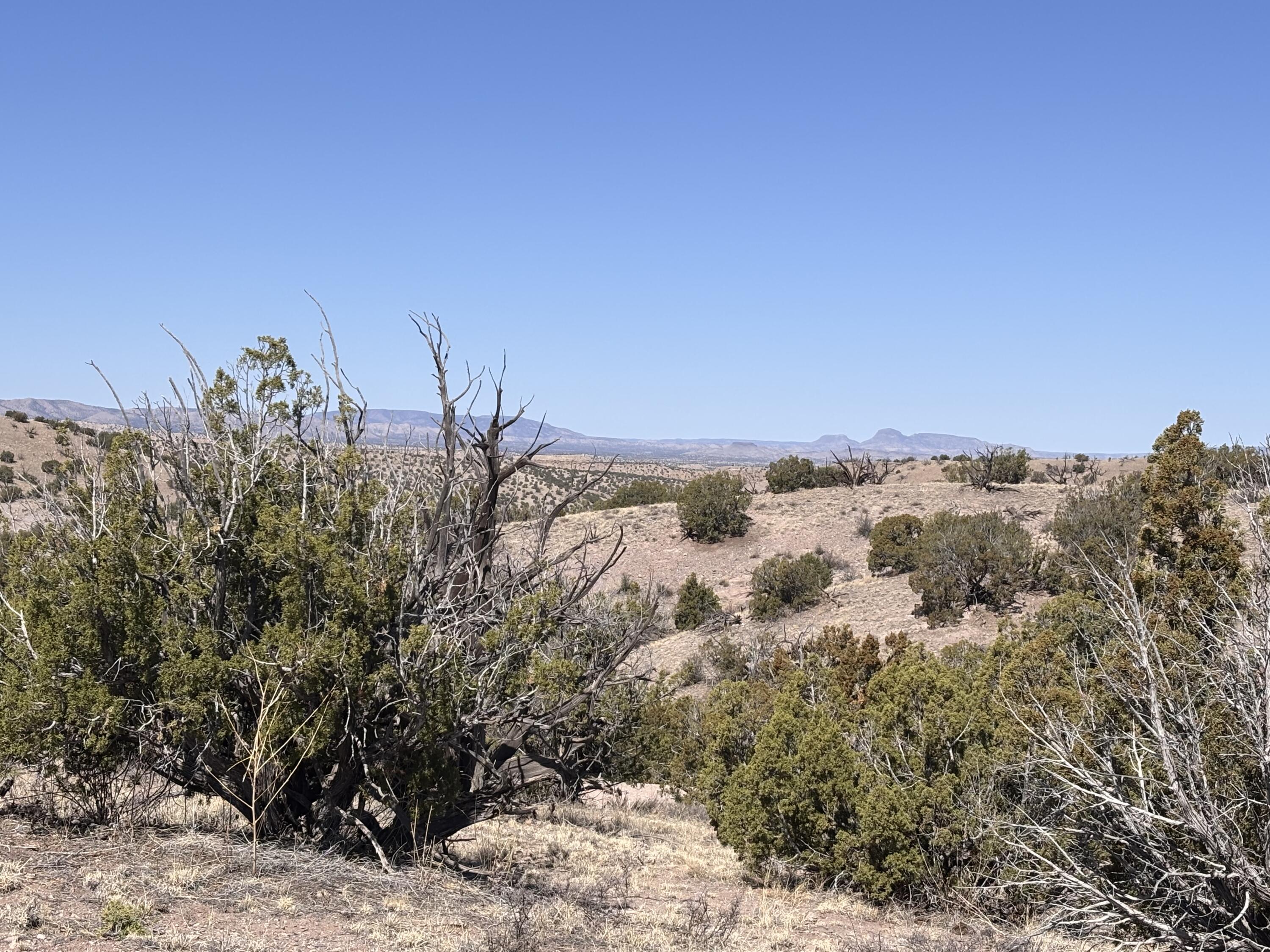 Lot 126, Magdalena, New Mexico image 10
