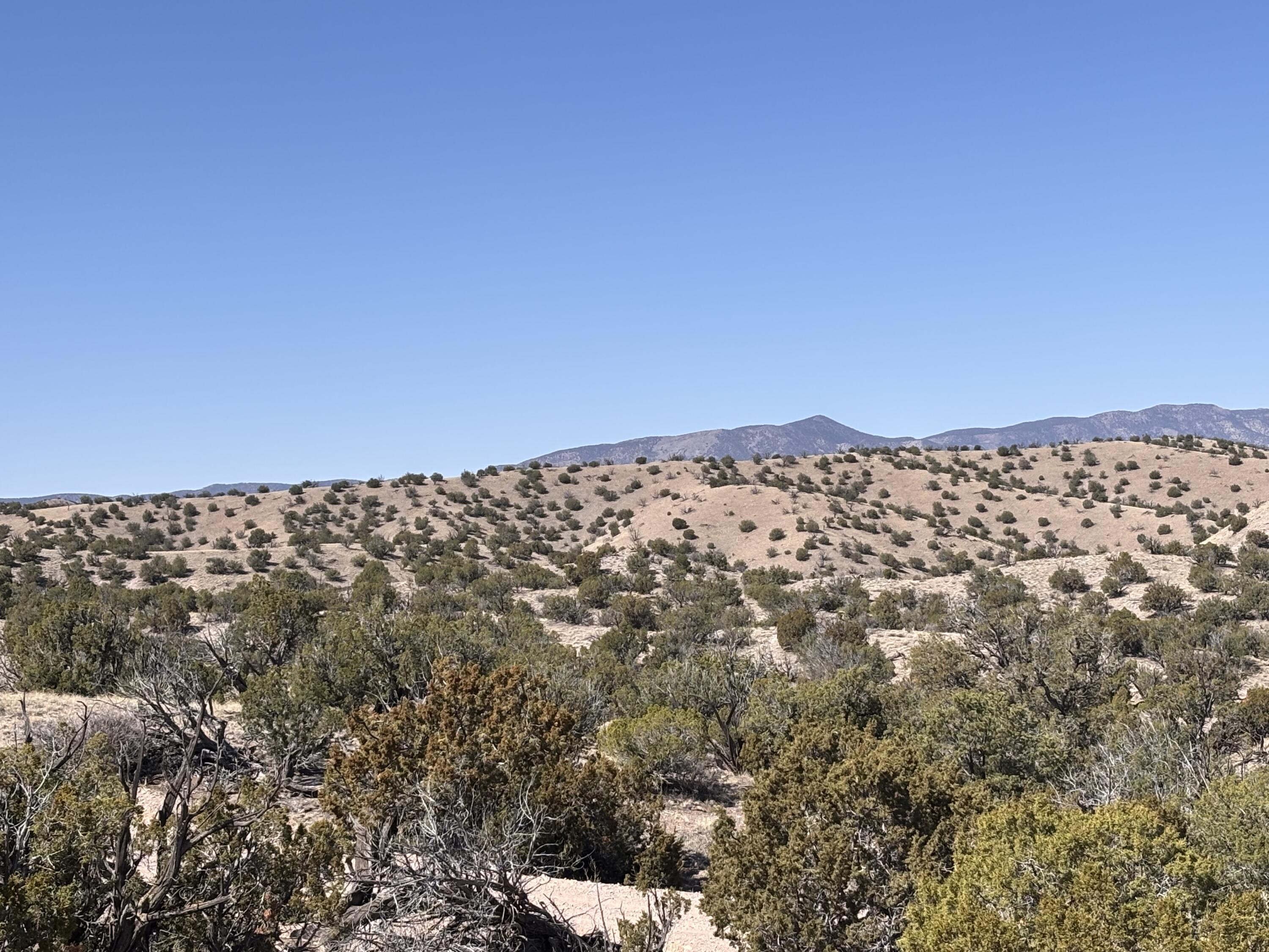 Lot 126, Magdalena, New Mexico image 3