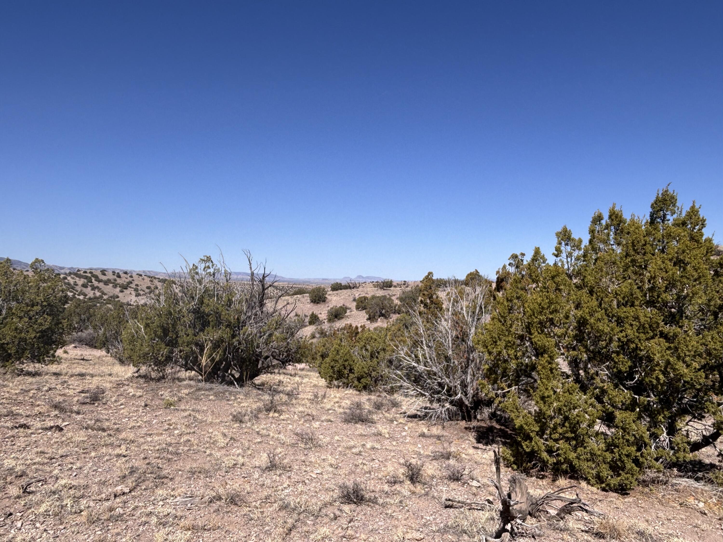 Lot 126, Magdalena, New Mexico image 14