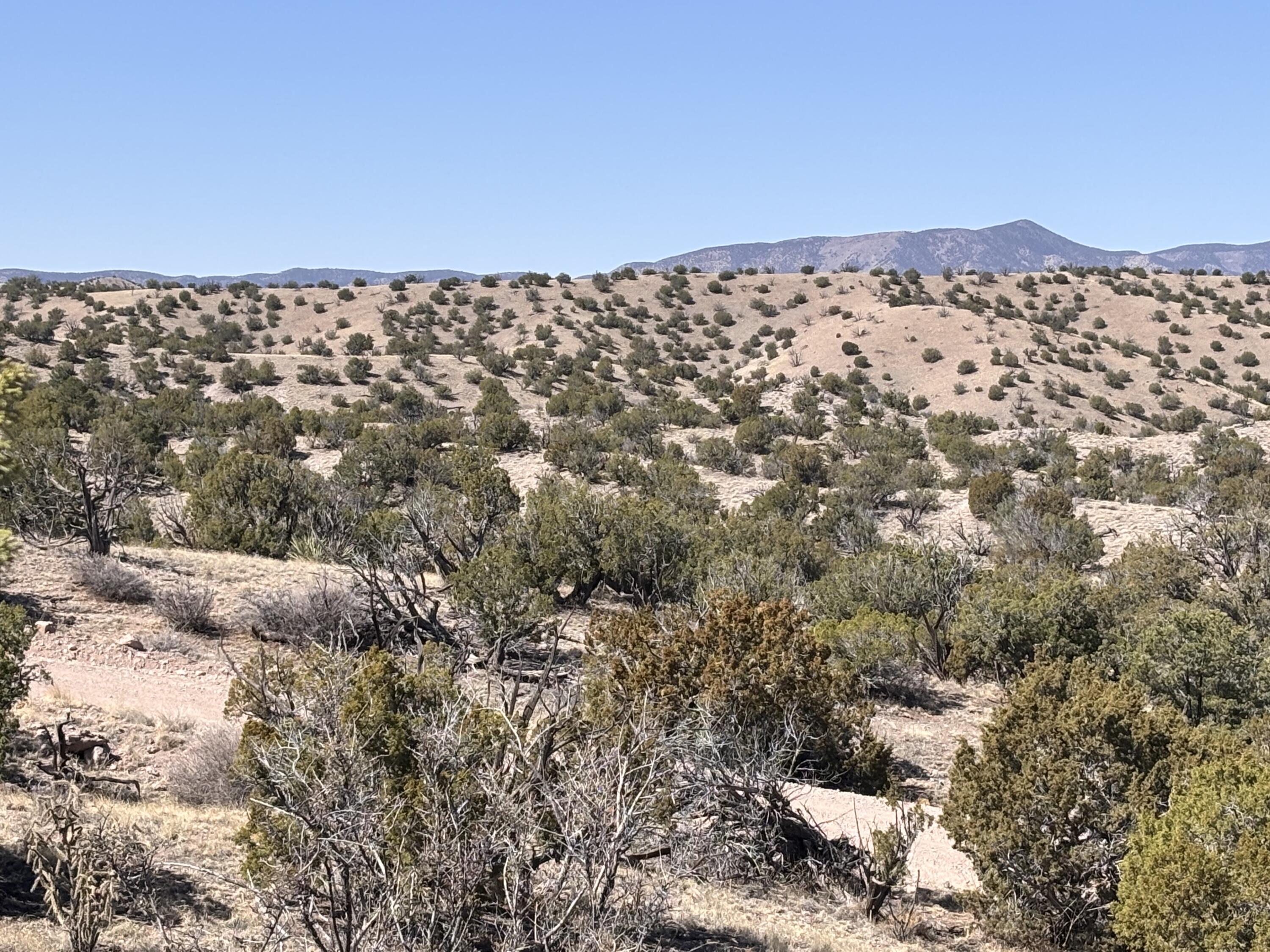Lot 126, Magdalena, New Mexico image 7