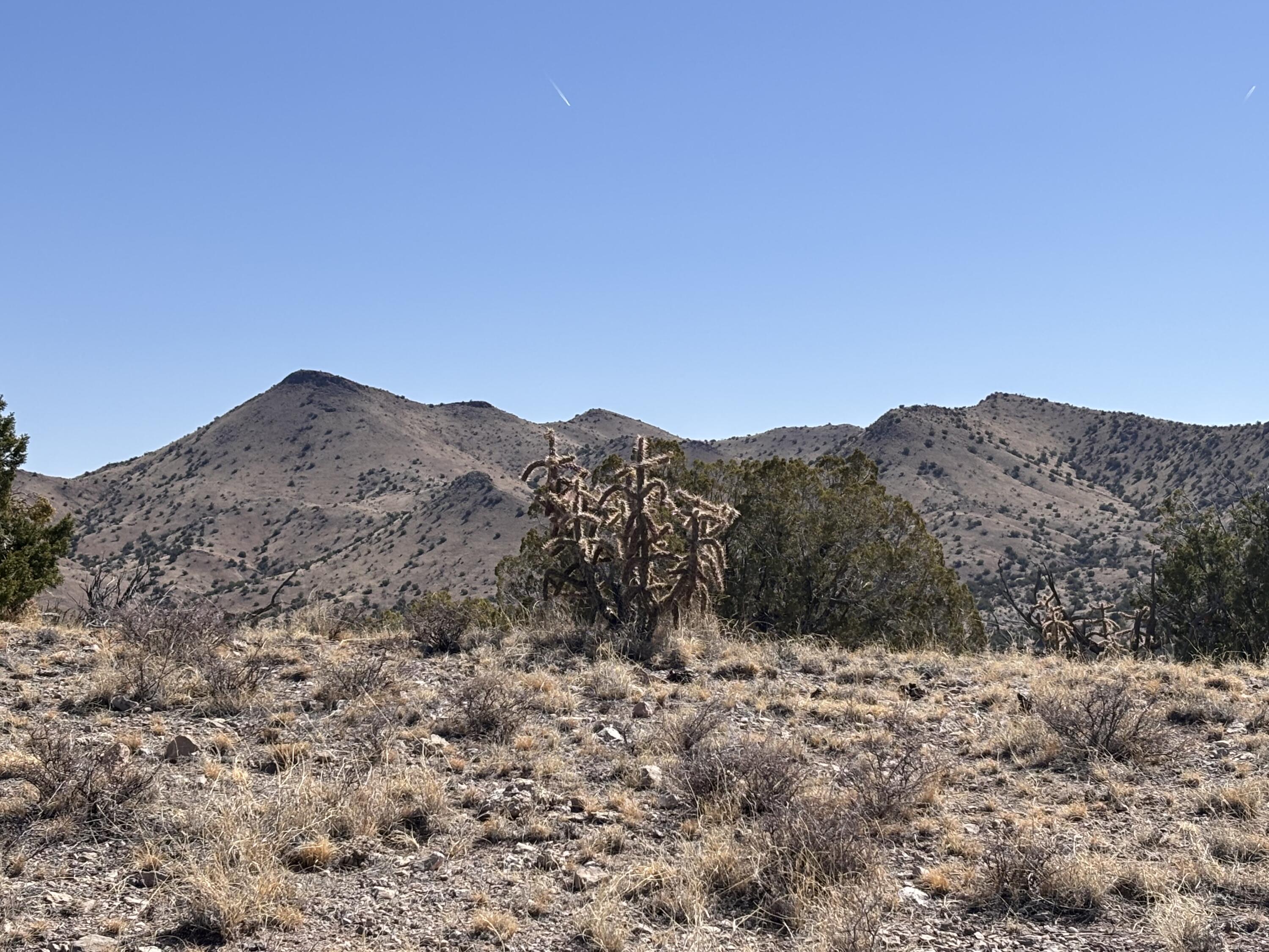 Lot 126, Magdalena, New Mexico image 4