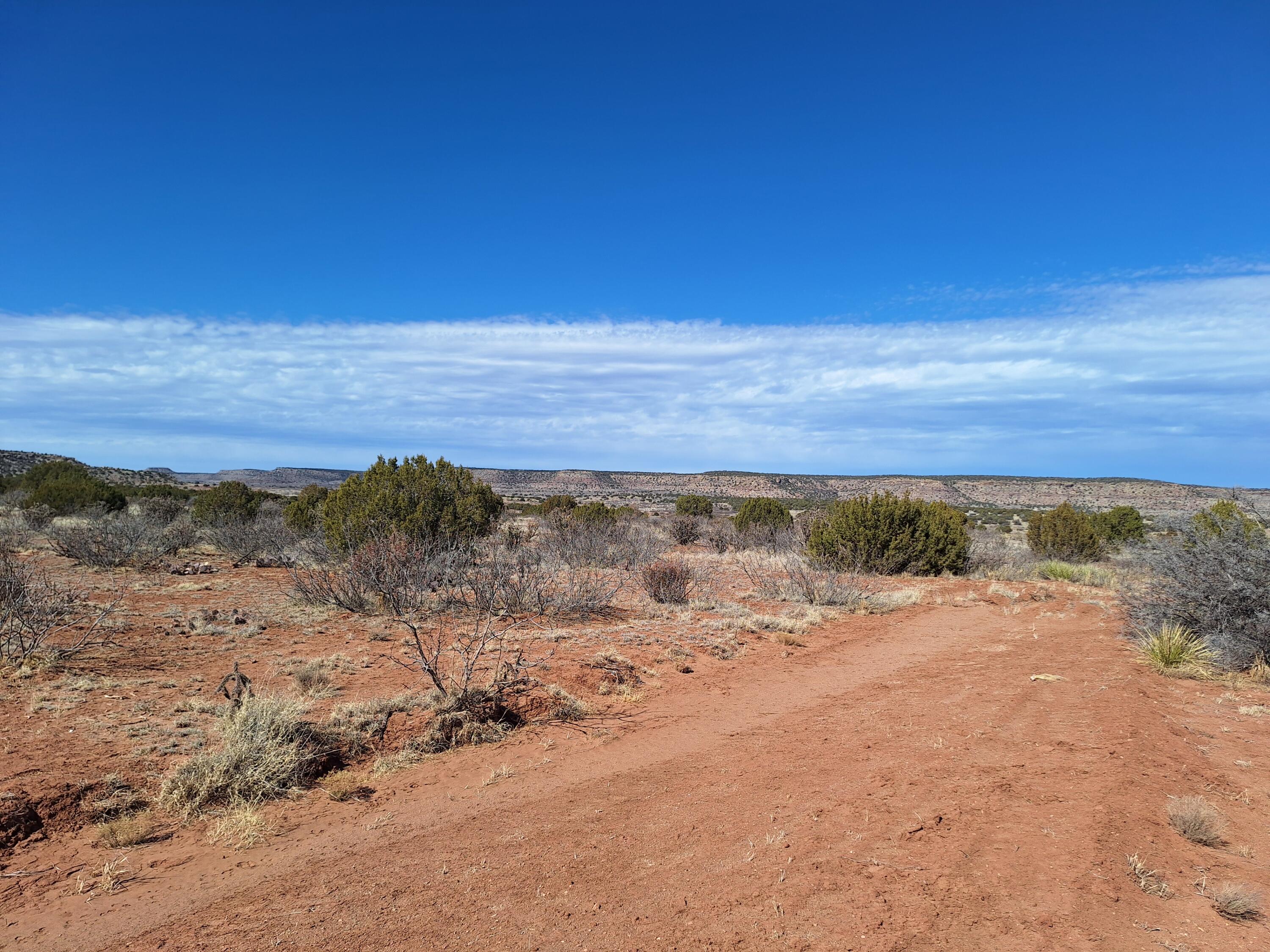 03 E Magnolia, Garita, New Mexico image 1