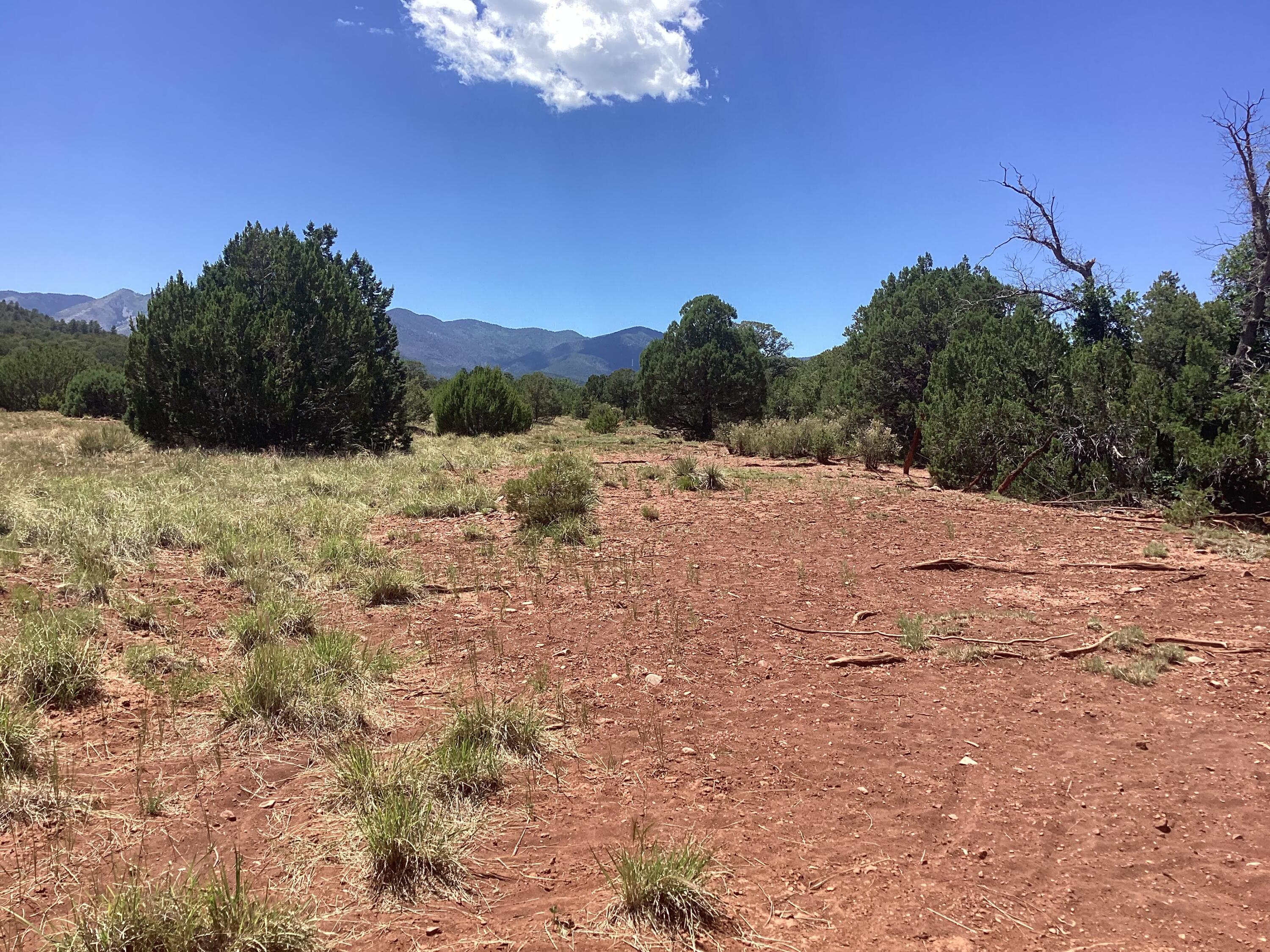 B064, Mountainair, New Mexico image 6