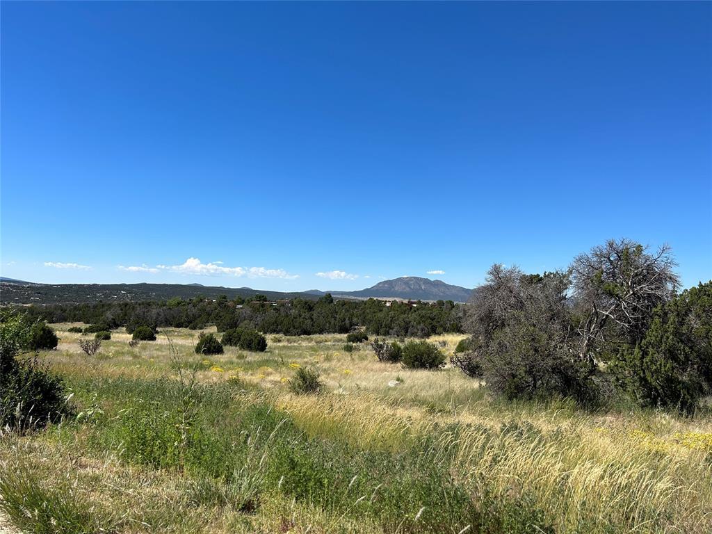 147 Cowboy Way, Edgewood, New Mexico image 5