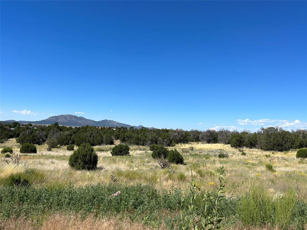 147 Cowboy Way, Edgewood, New Mexico image 6