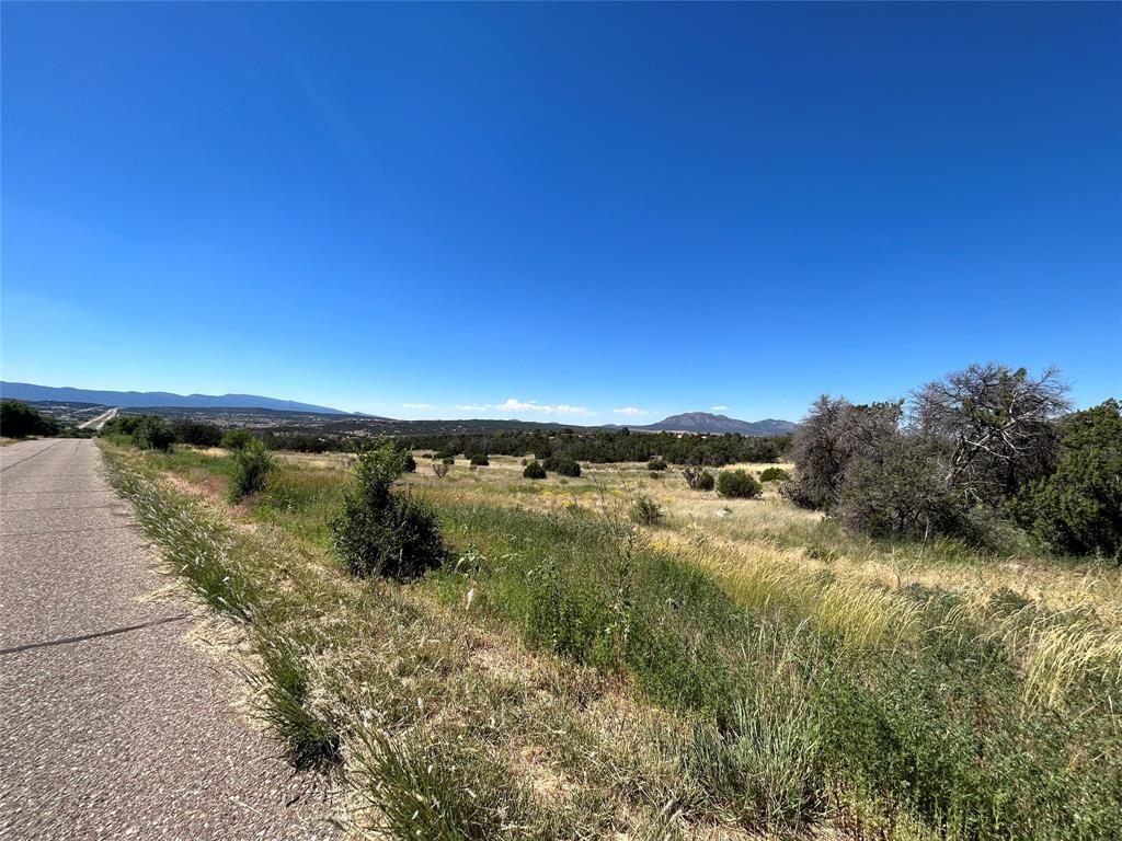 147 Cowboy Way, Edgewood, New Mexico image 4