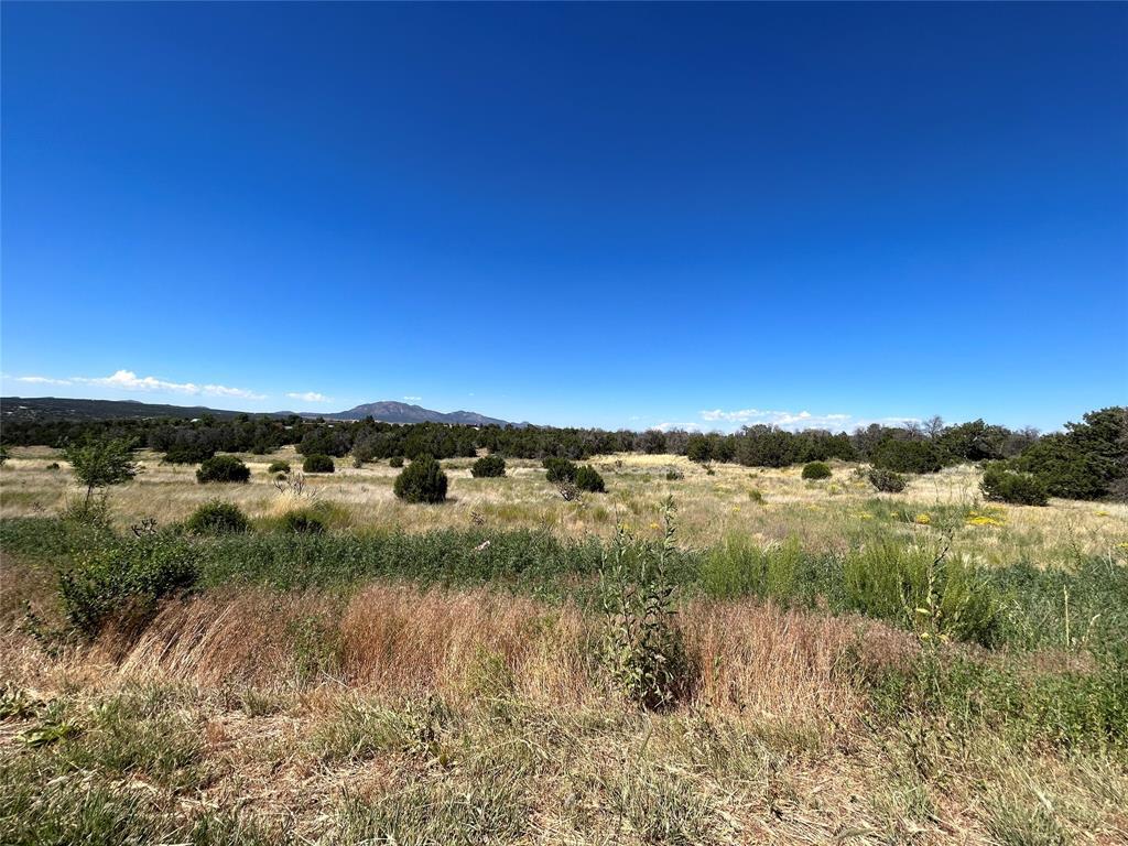 147 Cowboy Way, Edgewood, New Mexico image 7