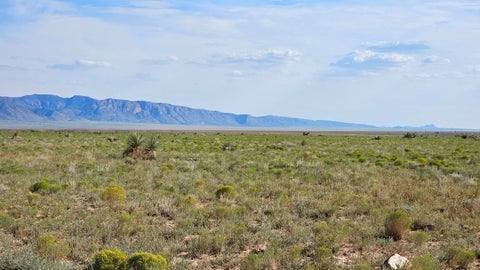 Vacant Land For Sale - VL Lot 9 Block 375 #17<br/> Belen, NM 87002