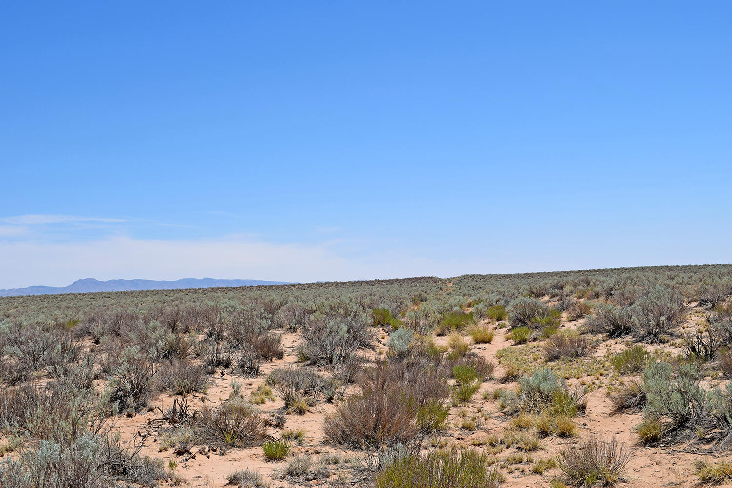 Lot 23 Rio Grande Estates #U, Belen, New Mexico image 5