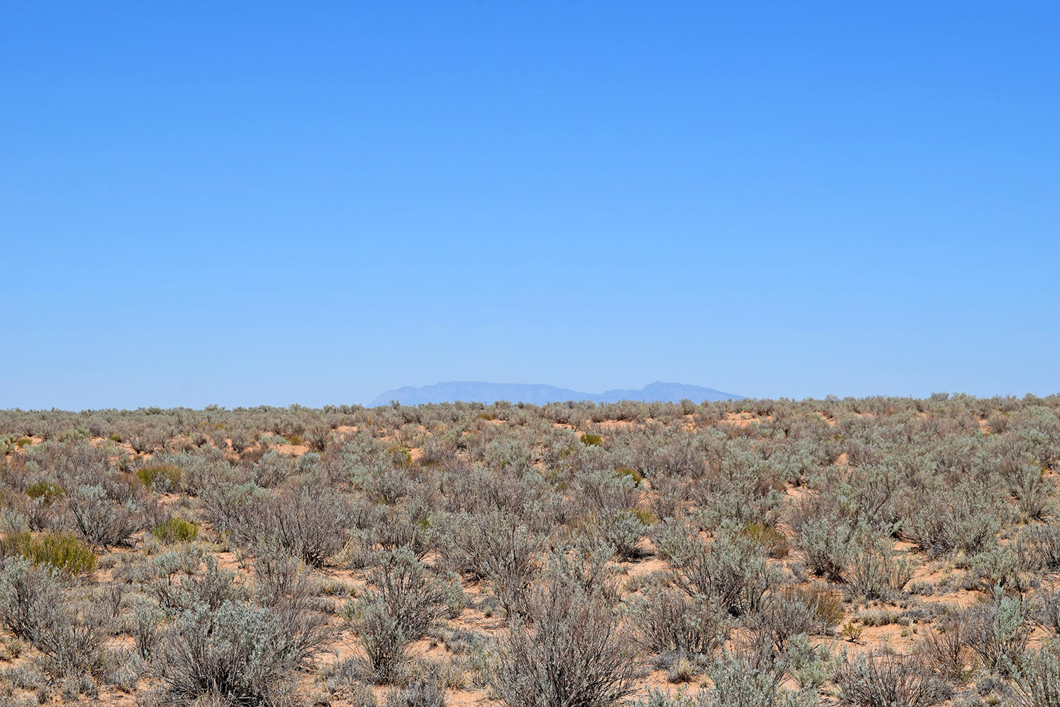 Lot 23 Rio Grande Estates #U, Belen, New Mexico image 19