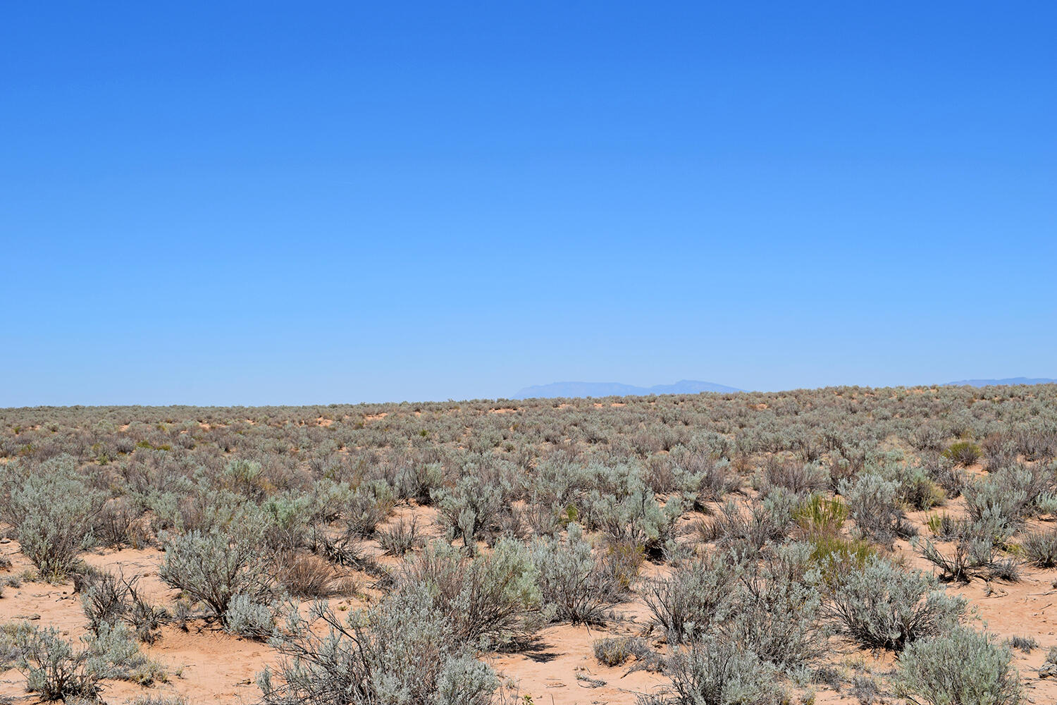 Lot 23 Rio Grande Estates #U, Belen, New Mexico image 14