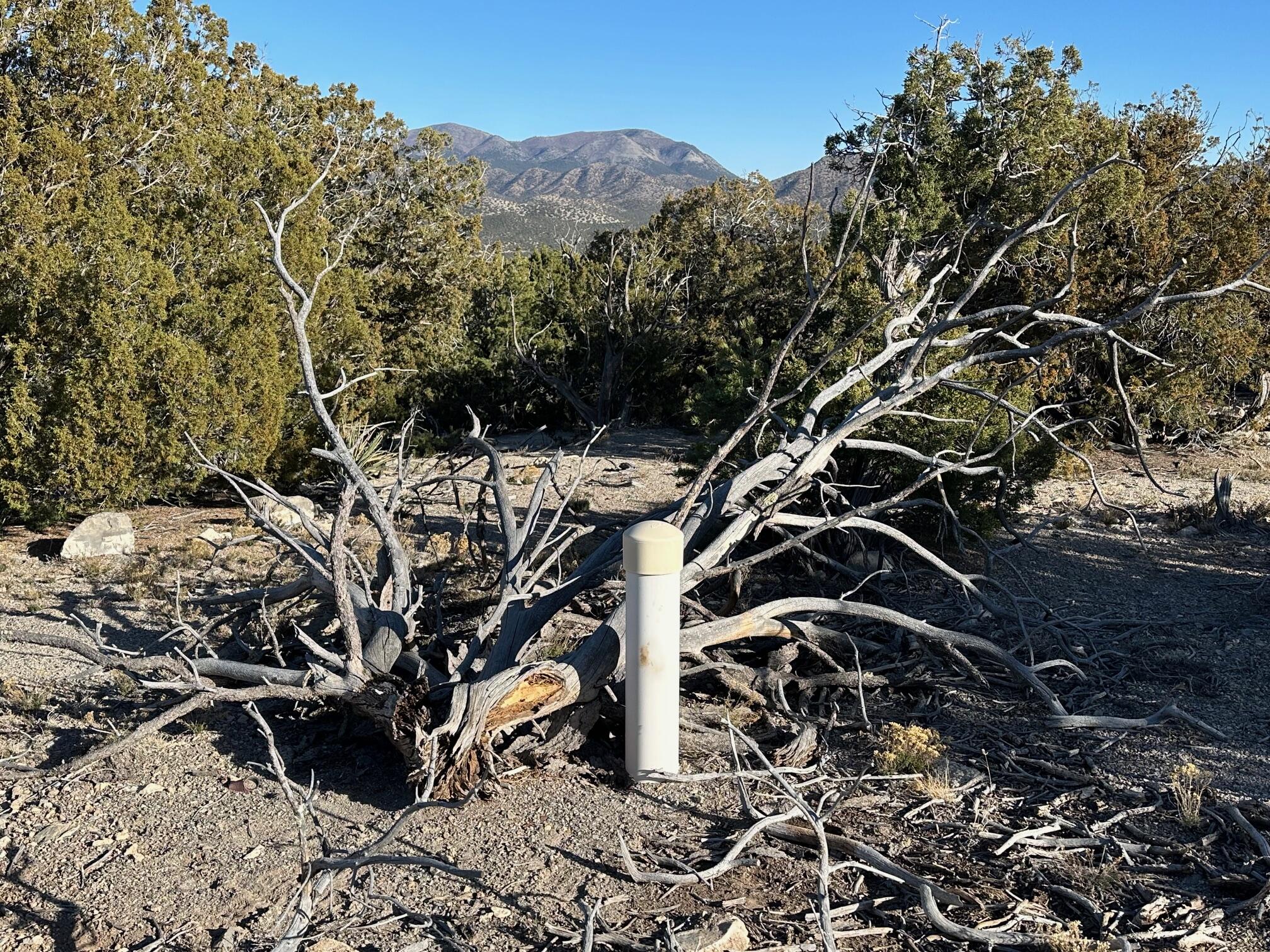 26 La Cantera, Sandia Park, New Mexico image 3