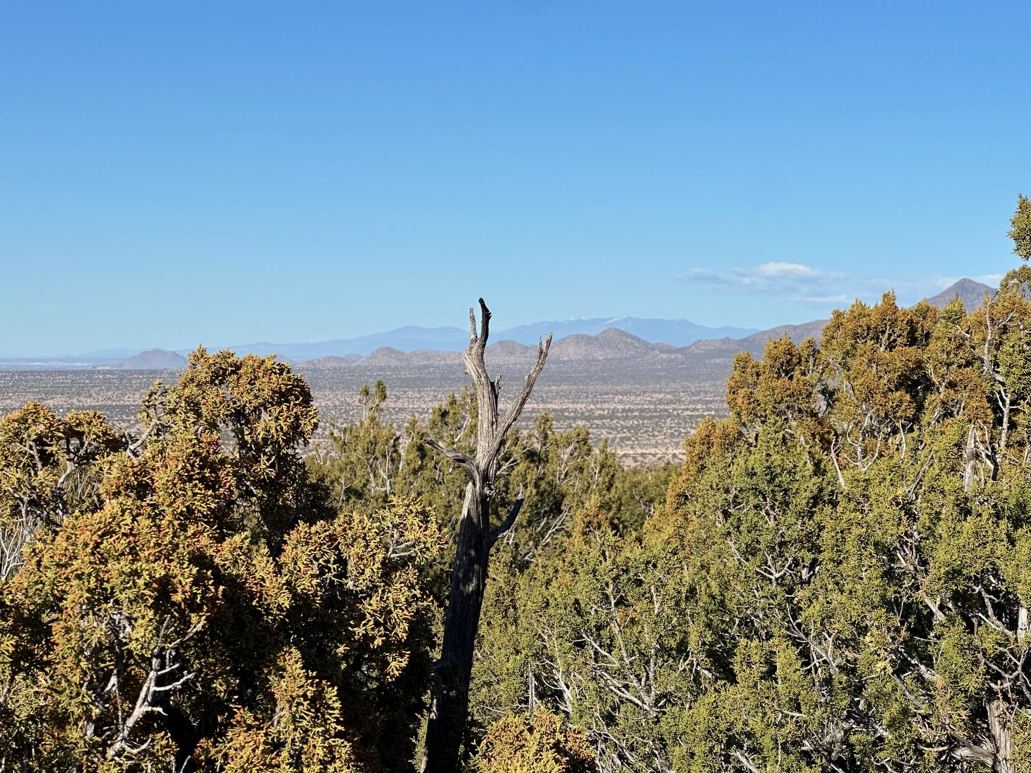 26 La Cantera, Sandia Park, New Mexico image 8