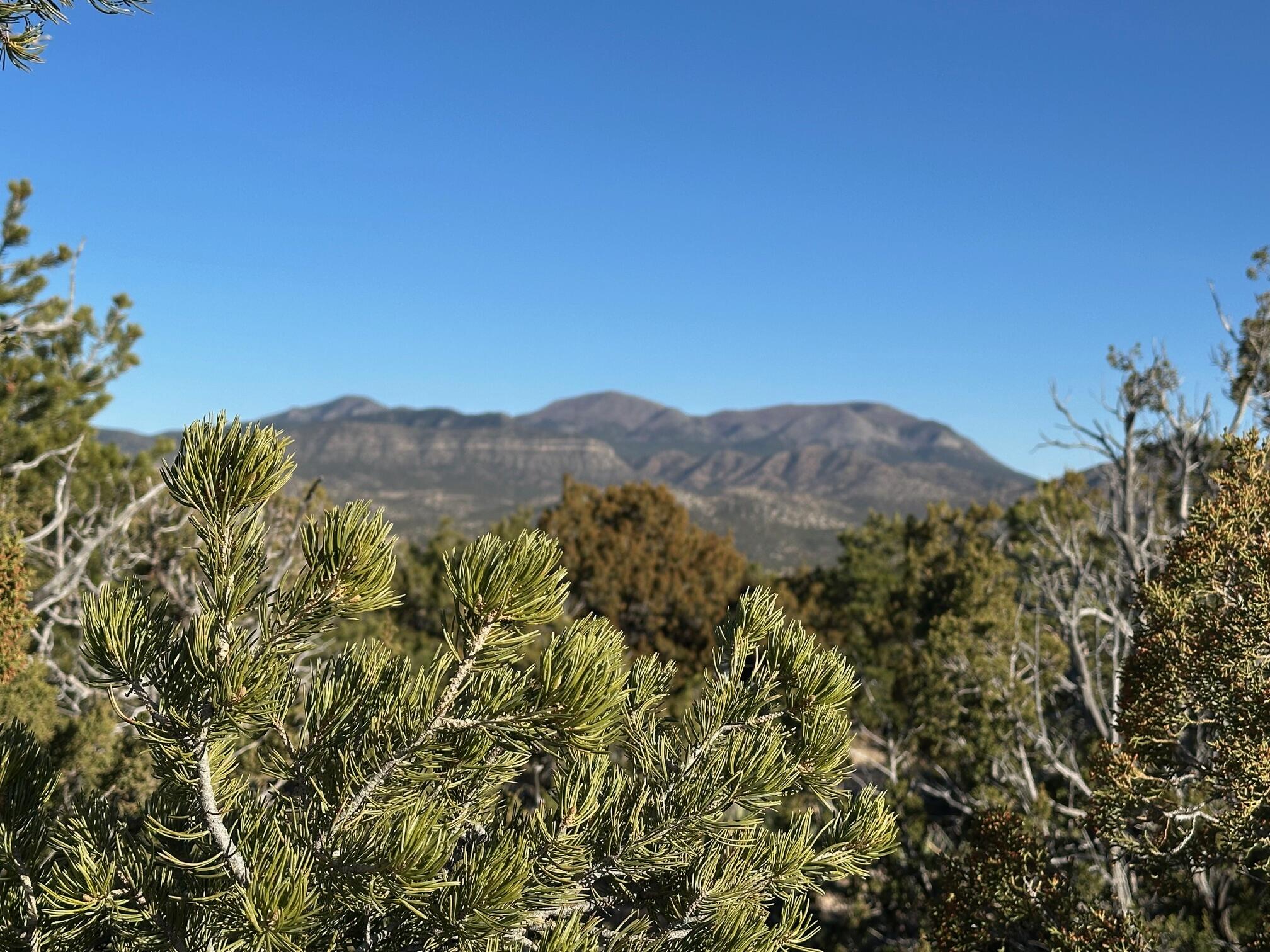 26 La Cantera, Sandia Park, New Mexico image 23