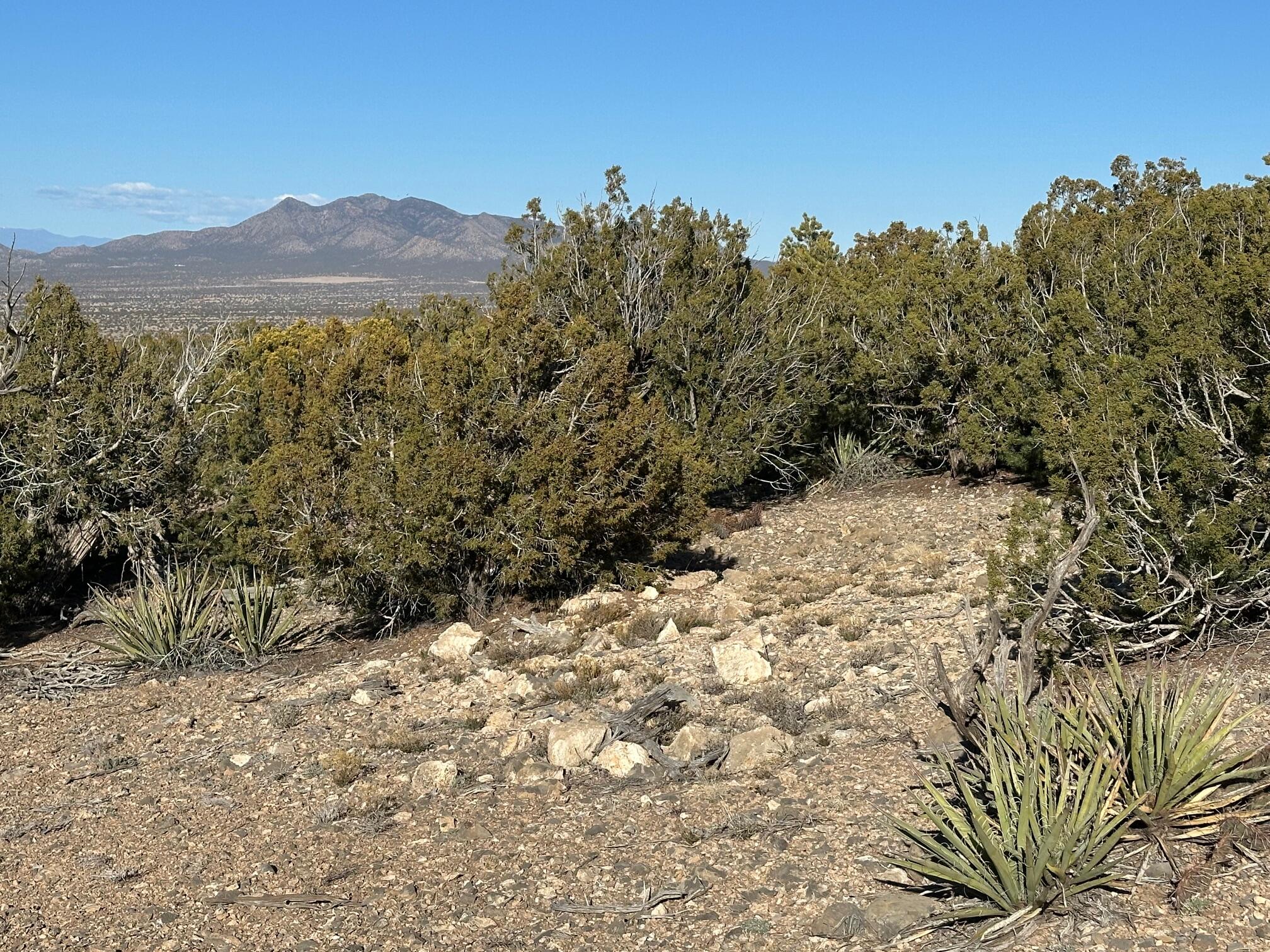 26 La Cantera, Sandia Park, New Mexico image 10