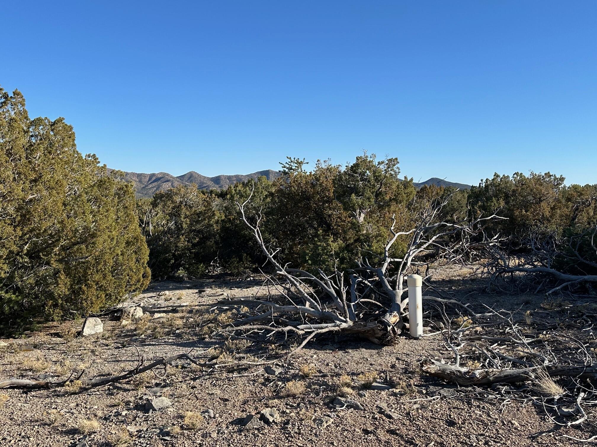 26 La Cantera, Sandia Park, New Mexico image 9