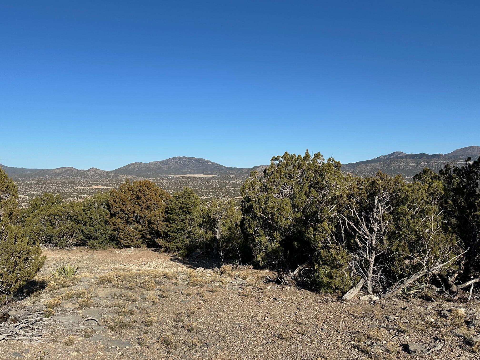 26 La Cantera, Sandia Park, New Mexico image 17