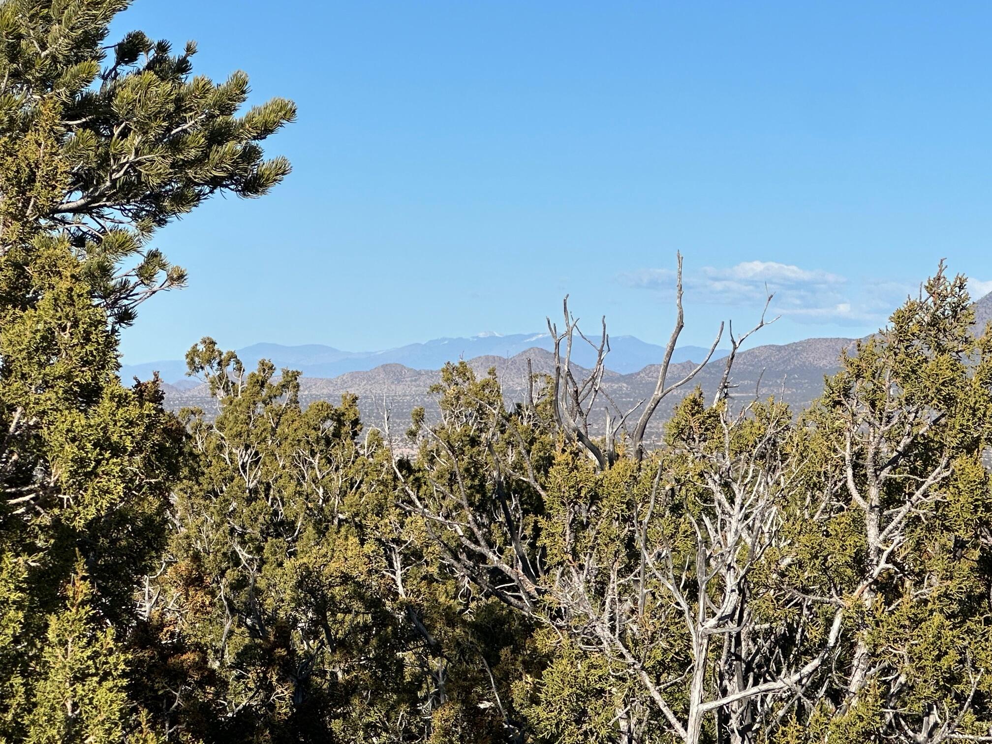 26 La Cantera, Sandia Park, New Mexico image 20