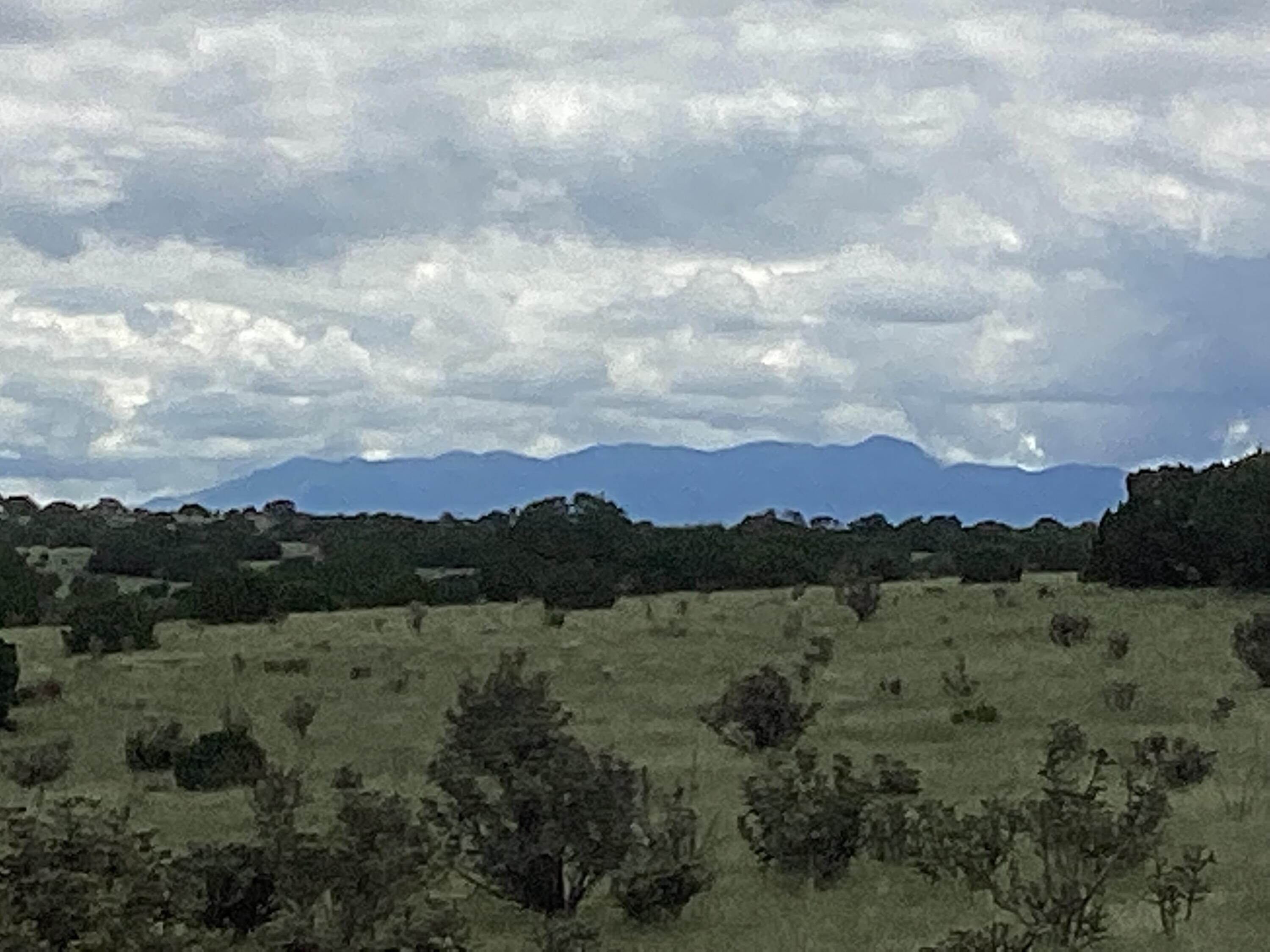 Mission Hills Rd Tract E, Estancia, New Mexico image 3