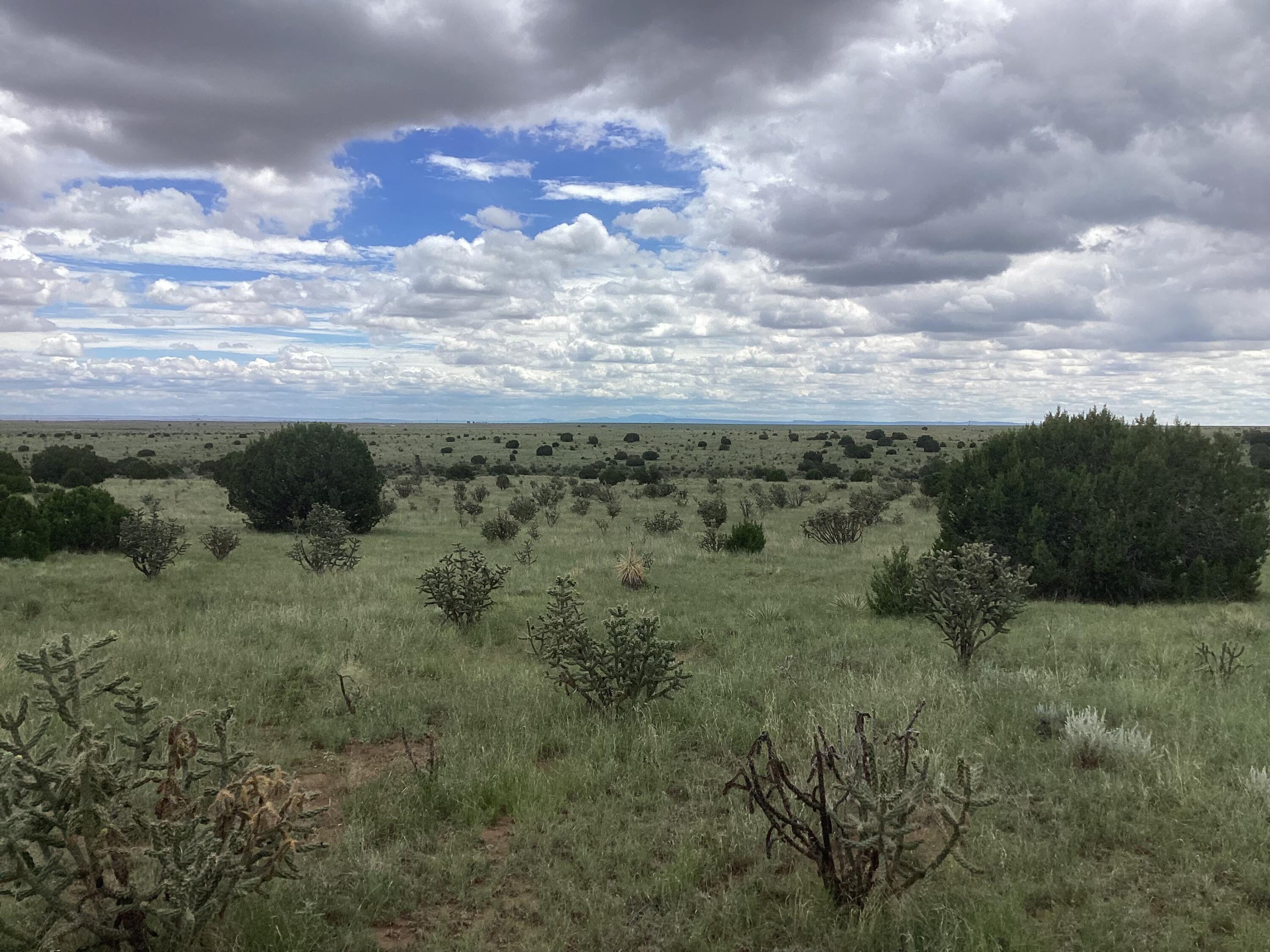 Mission Hills Rd Tract E, Estancia, New Mexico image 1