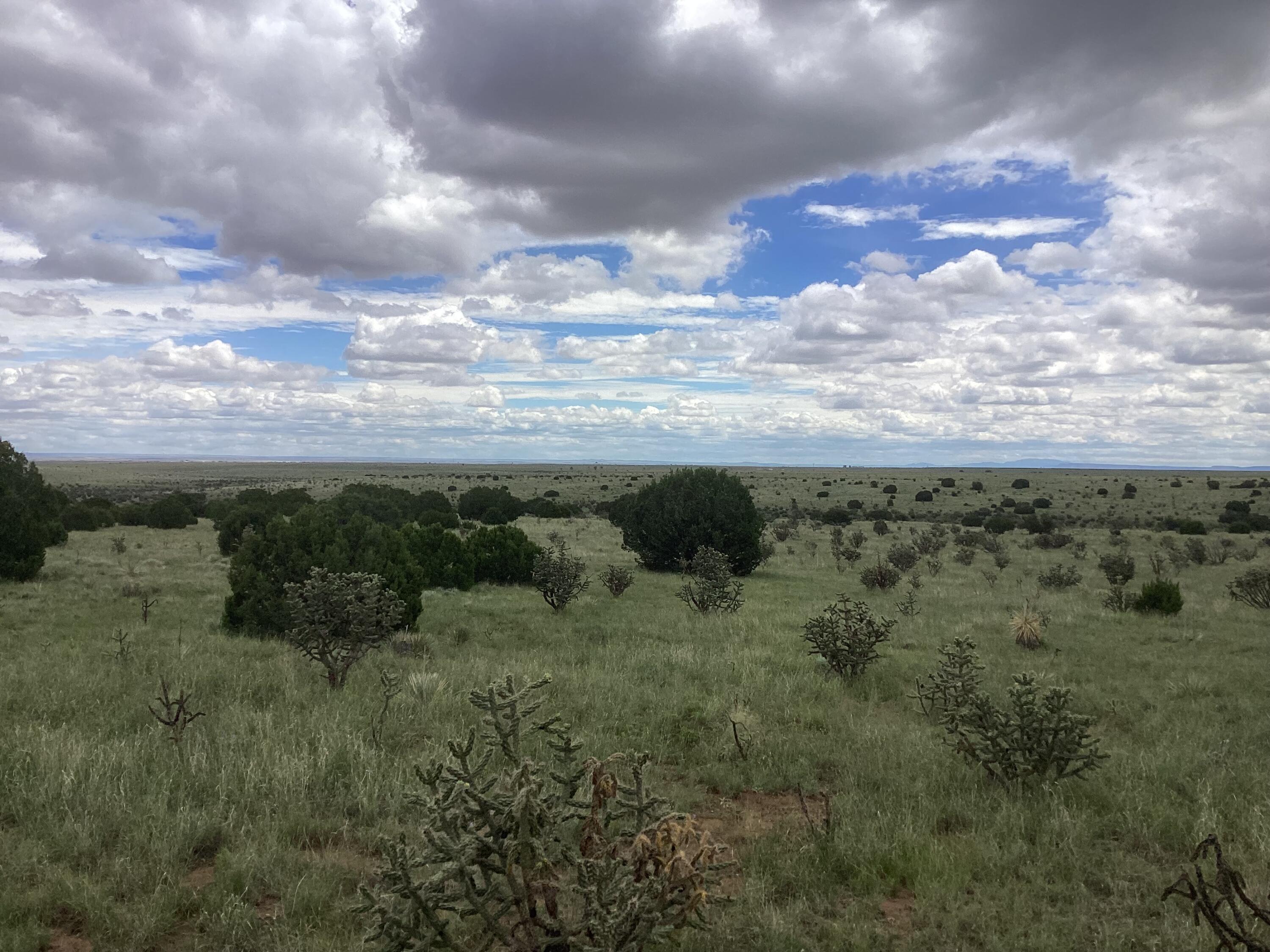 Mission Hills Rd Tract E, Estancia, New Mexico image 2