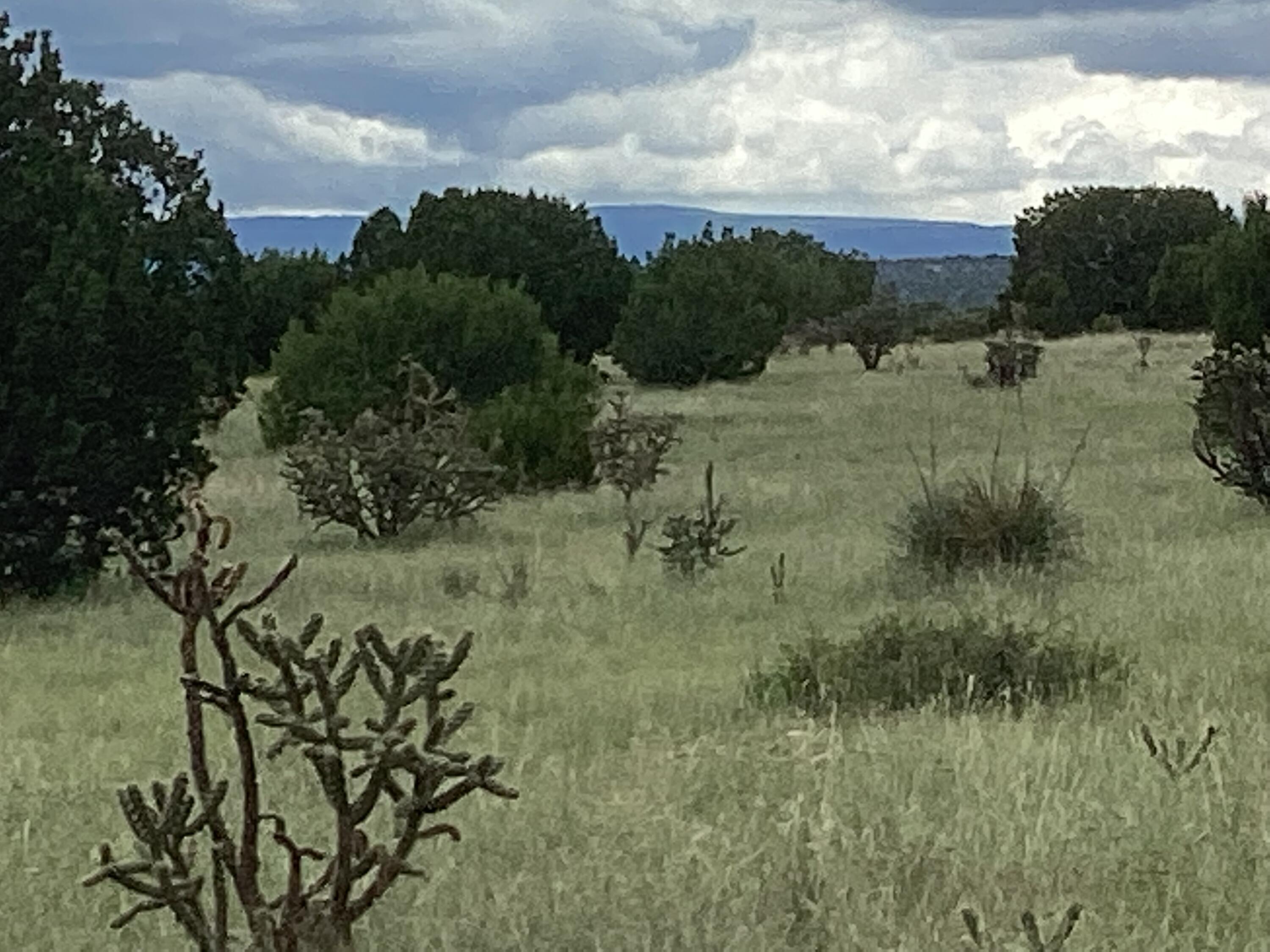 Mission Hills Rd Tract E, Estancia, New Mexico image 4