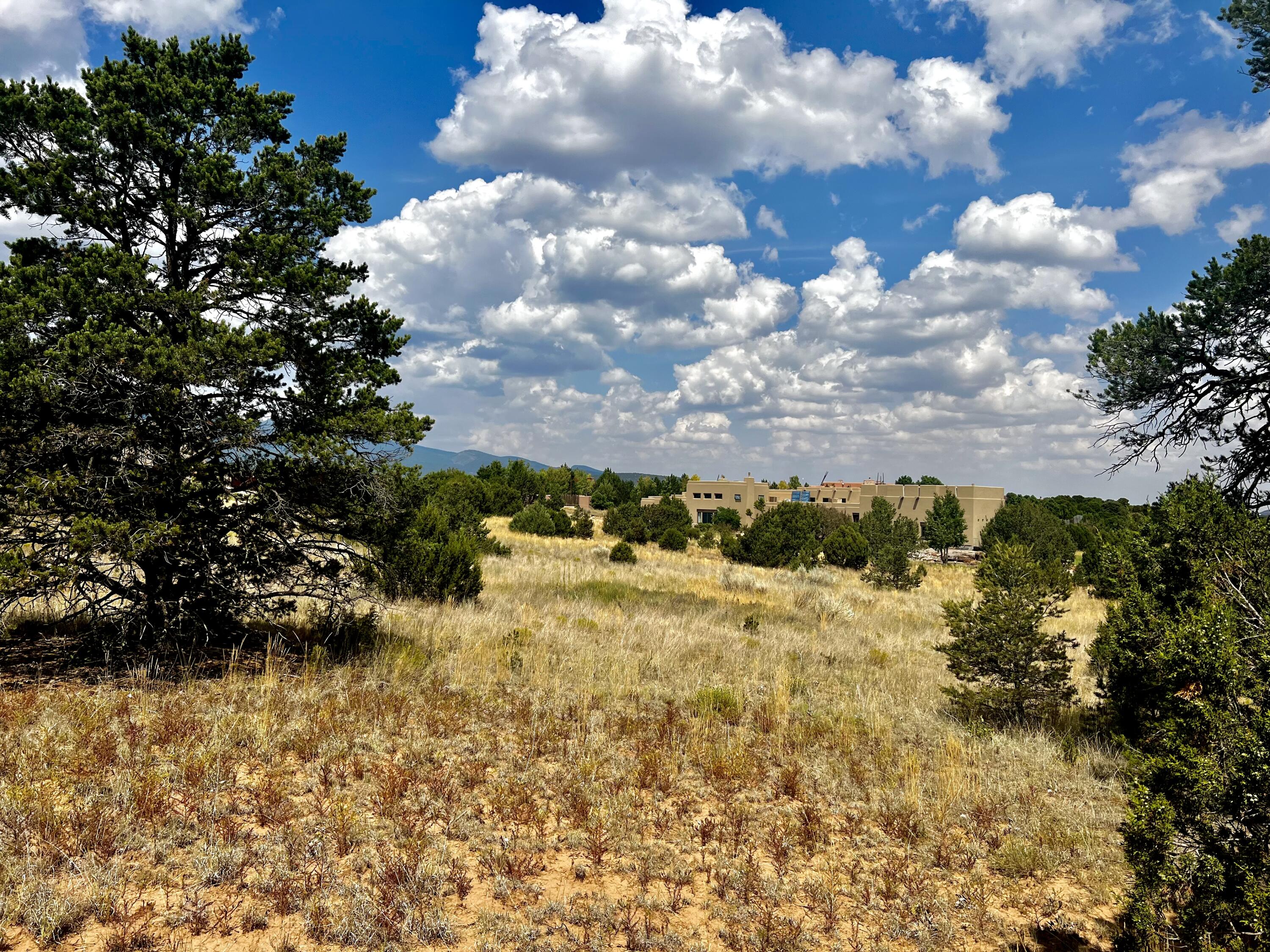 6 Wildcat Court, Tijeras, New Mexico image 4