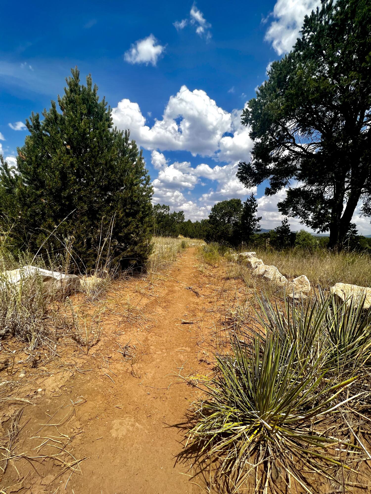 6 Wildcat Court, Tijeras, New Mexico image 7